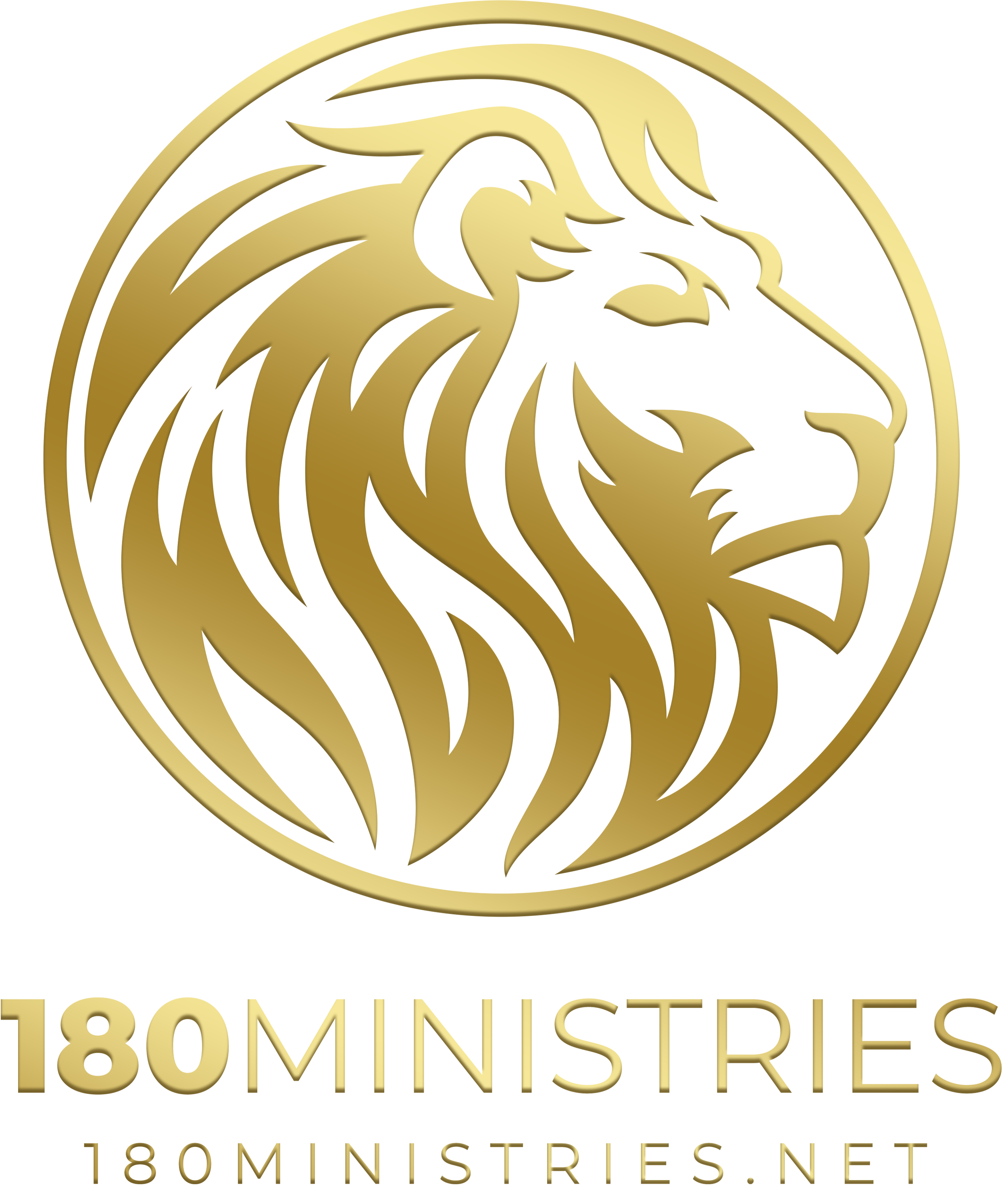 Gold emblem featuring a lion's head with flowing mane, encircled by text that reads 'TOY MINISTRIES' and additional text '80 MIN STREETS'.