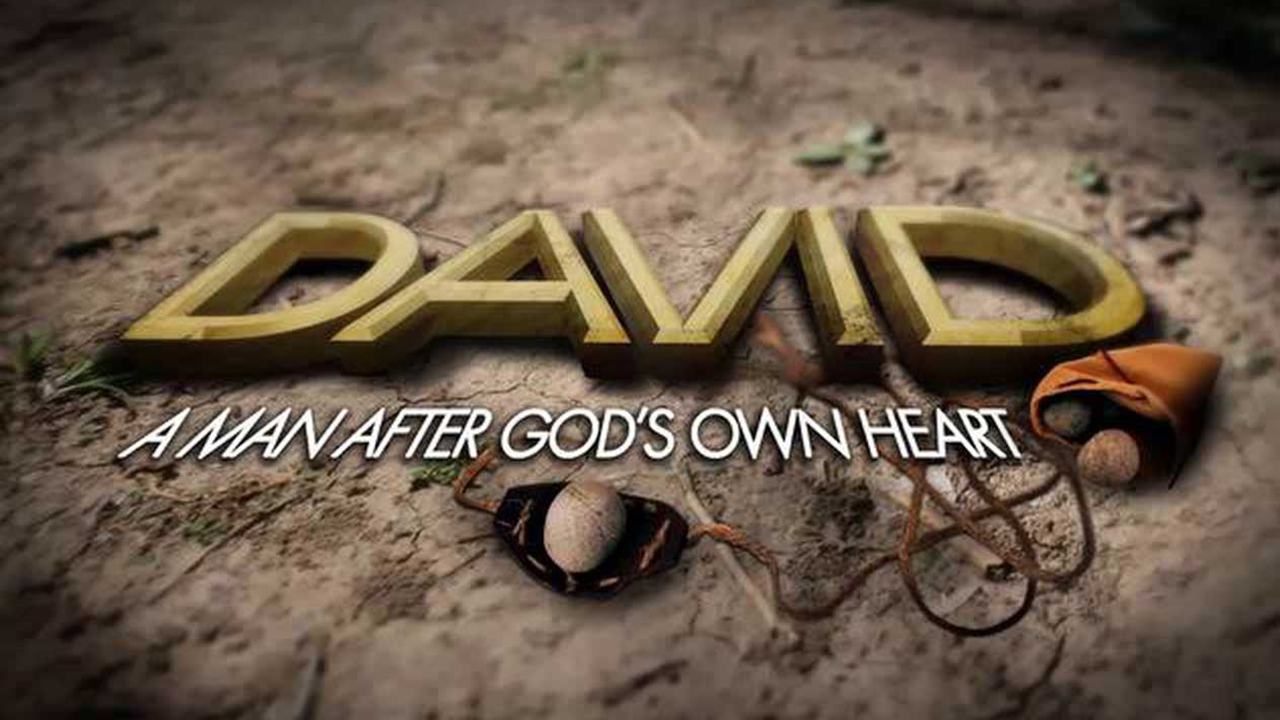 DAVID (WEEK 6)