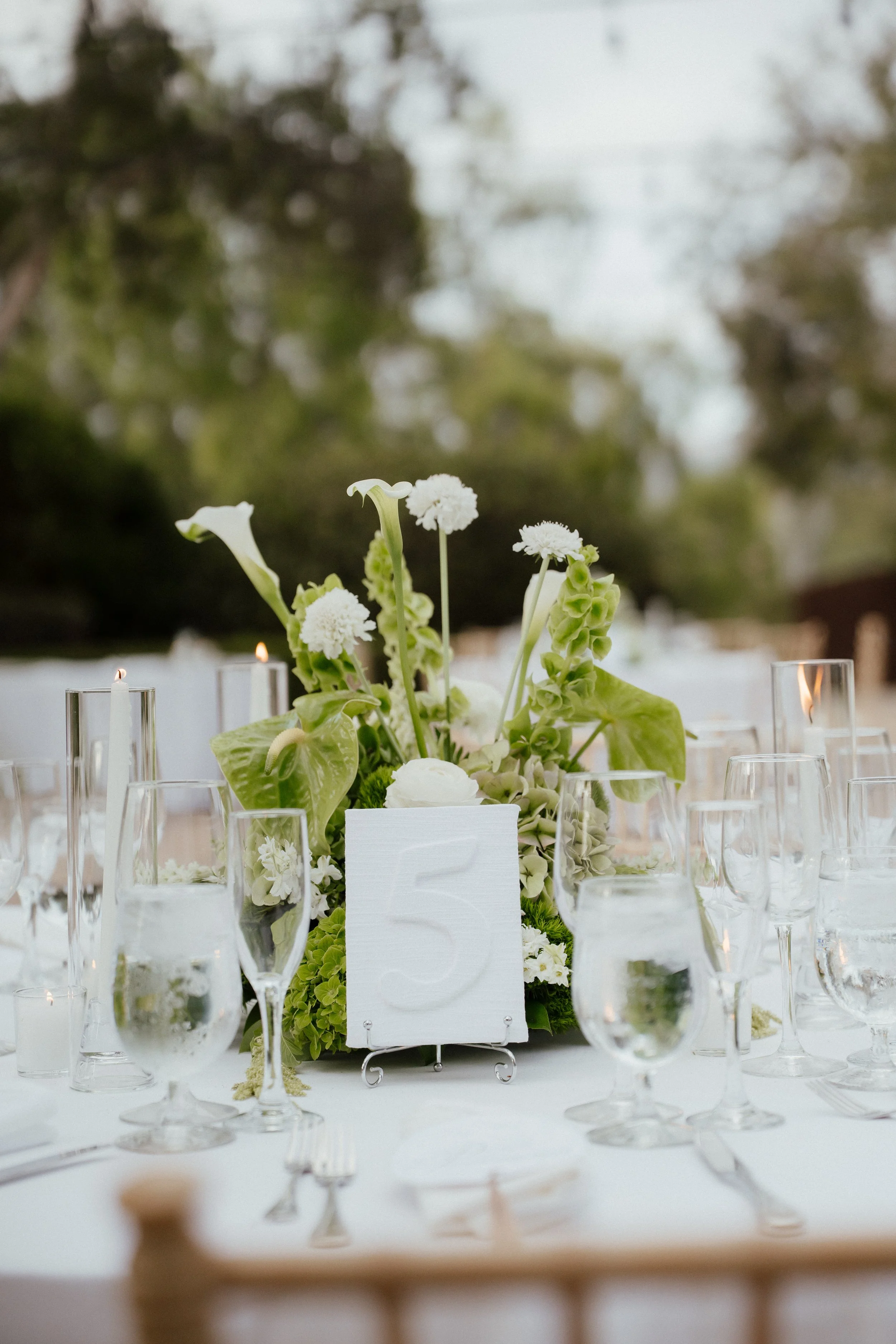 Seagrave Photography - San Diego Twin Oaks Golf Course Wedding-57.jpg