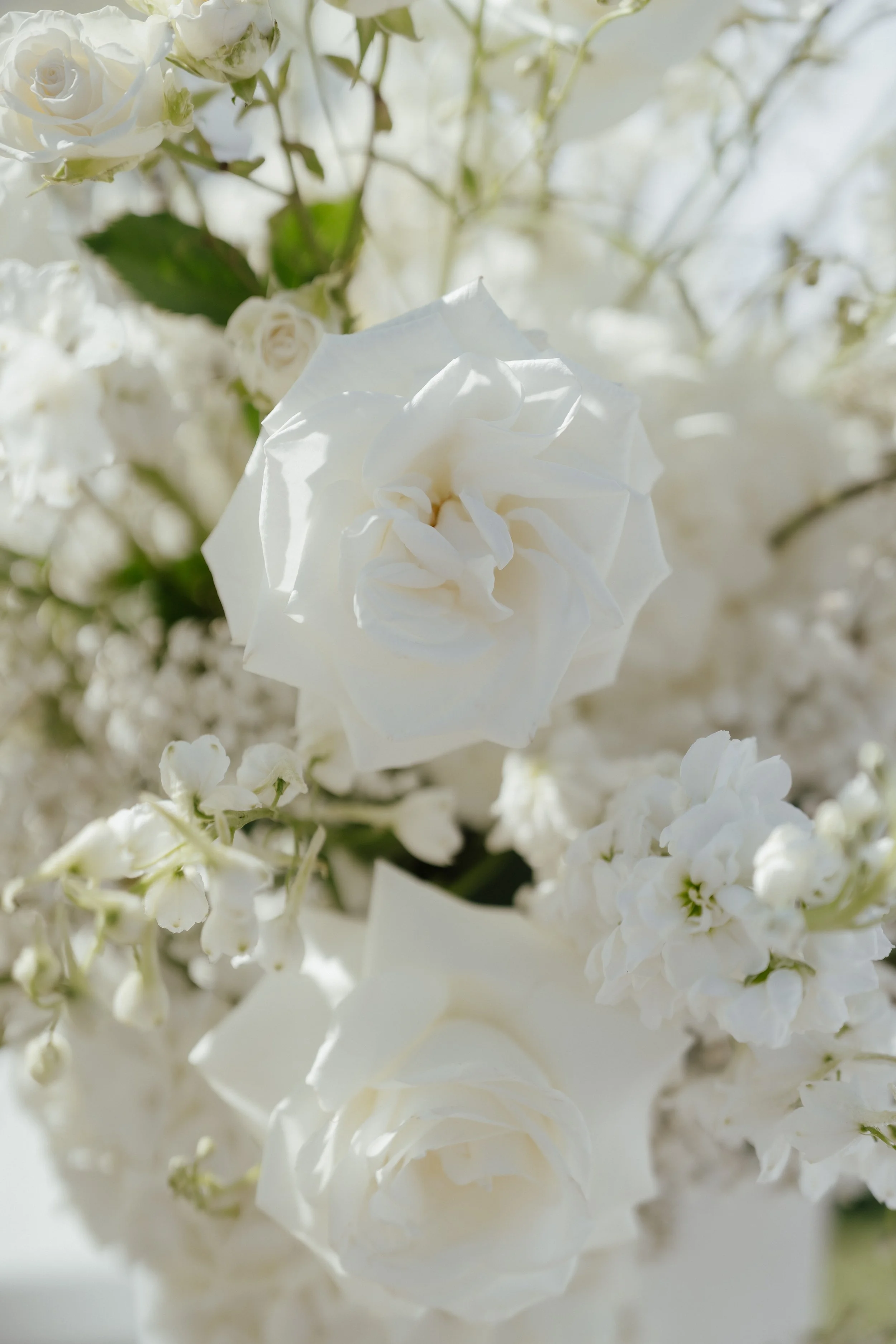Seagrave Photography - Hotel Del Wedding-237.jpg