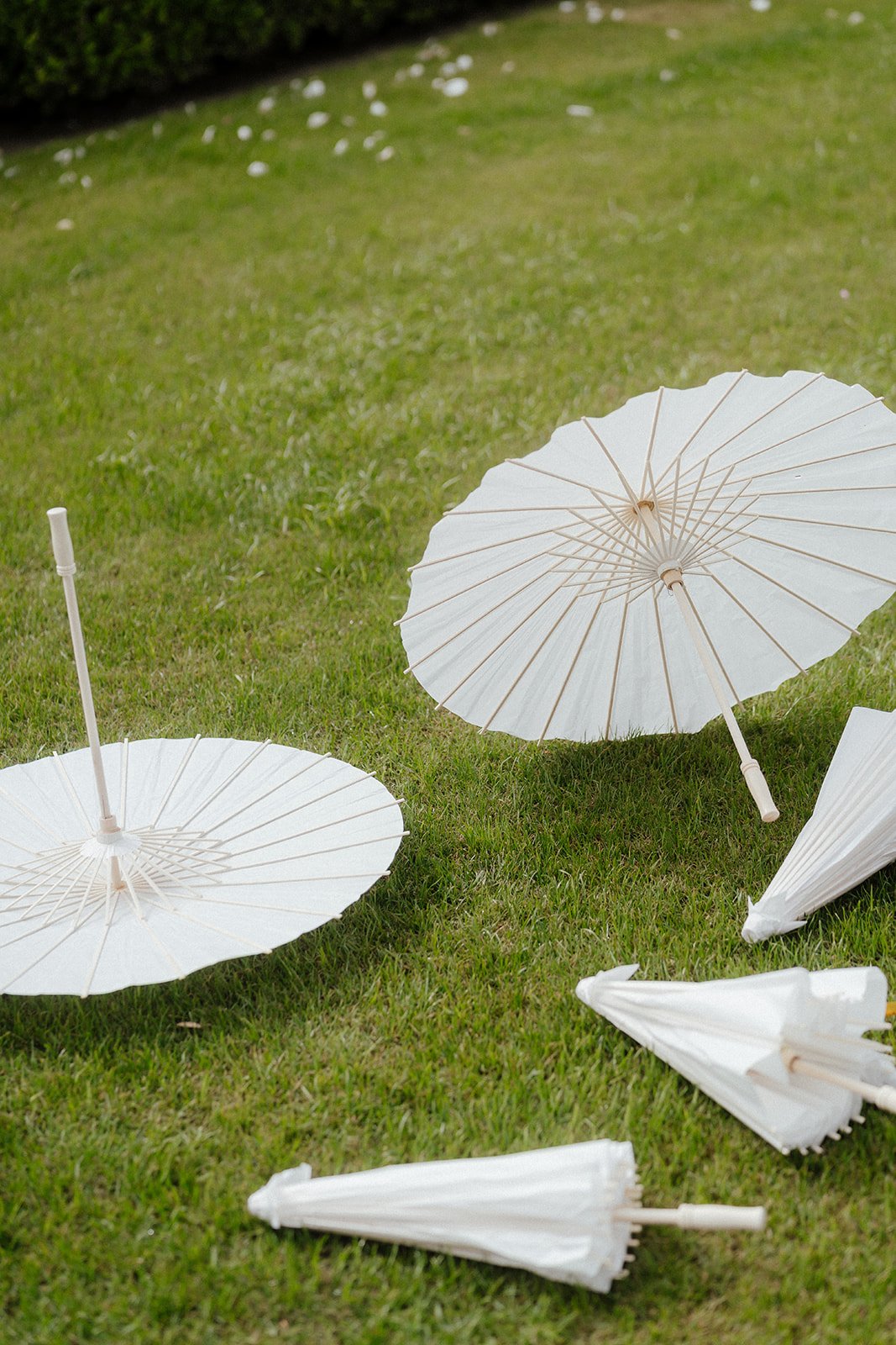 Two white paper parasols and two white umbrella frames, some fallen on green grass, with some flowers in the background during San Diego wedding.