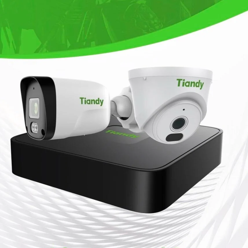 Videovigilancia: TIANDY