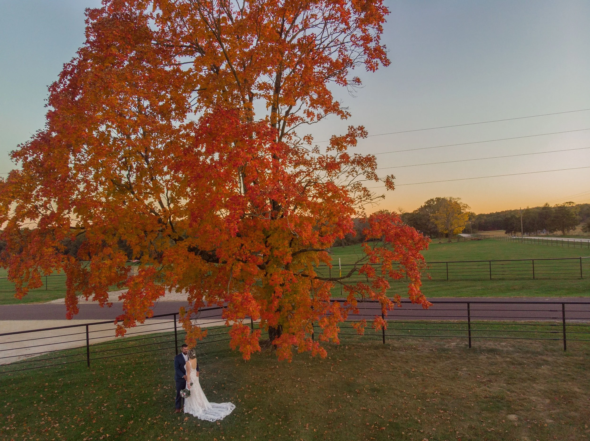 A couple in wedding attire standing beneath a large tree with orange and red autumn leaves, in a field with a fence, trees, and power lines in the background during sunset.