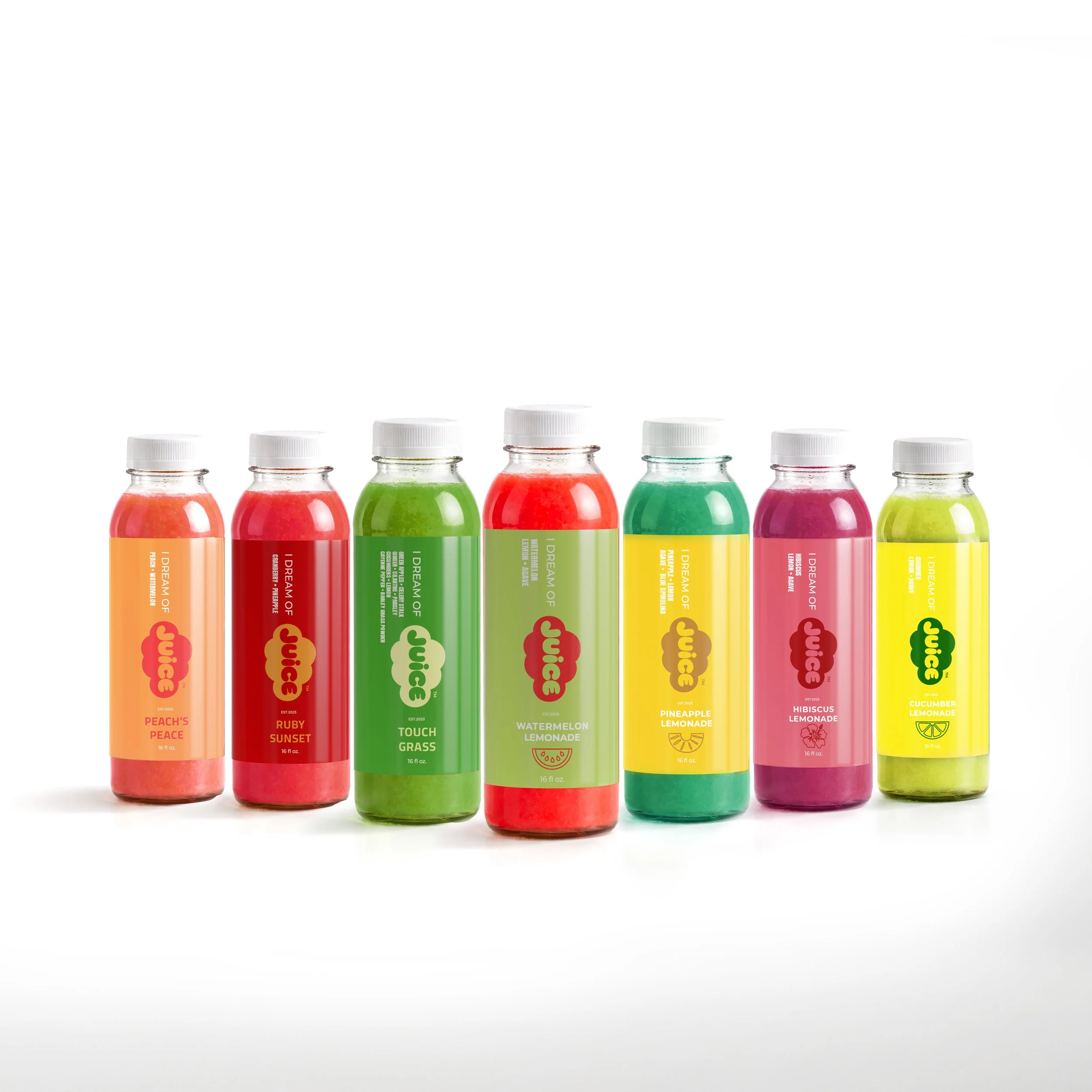 Monthly Subscription