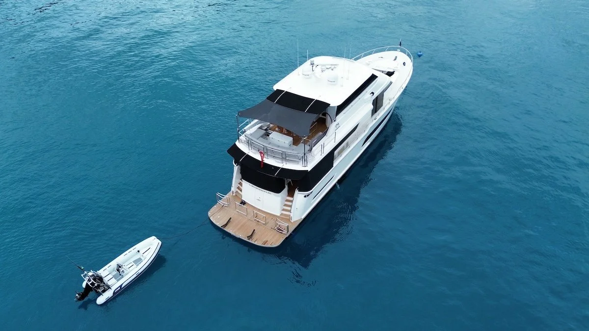 2019_Horizon_V81_ 1.jpg