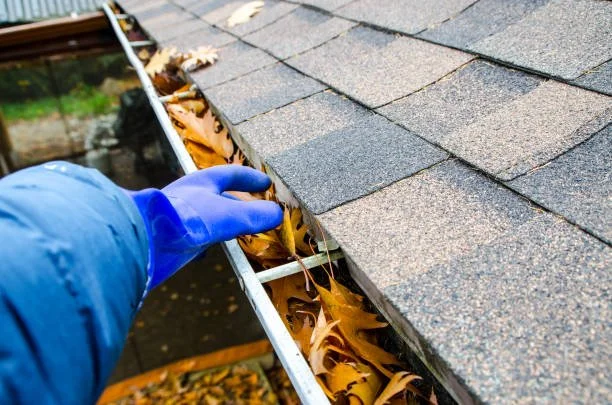 A person wearing a blue glove inspecting the gutter of a roof among fallen autumn leaves.