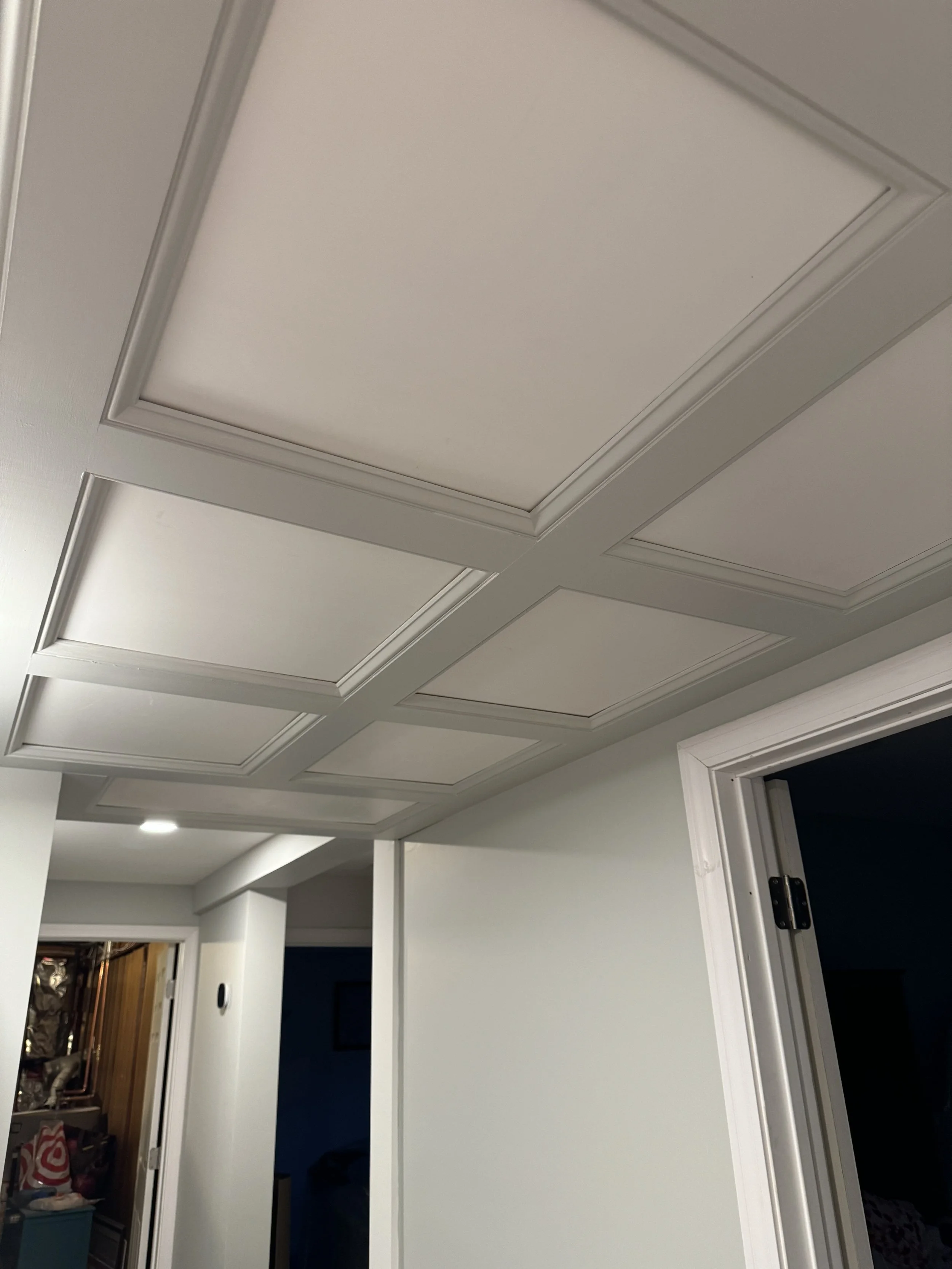 Drop ceiling install 