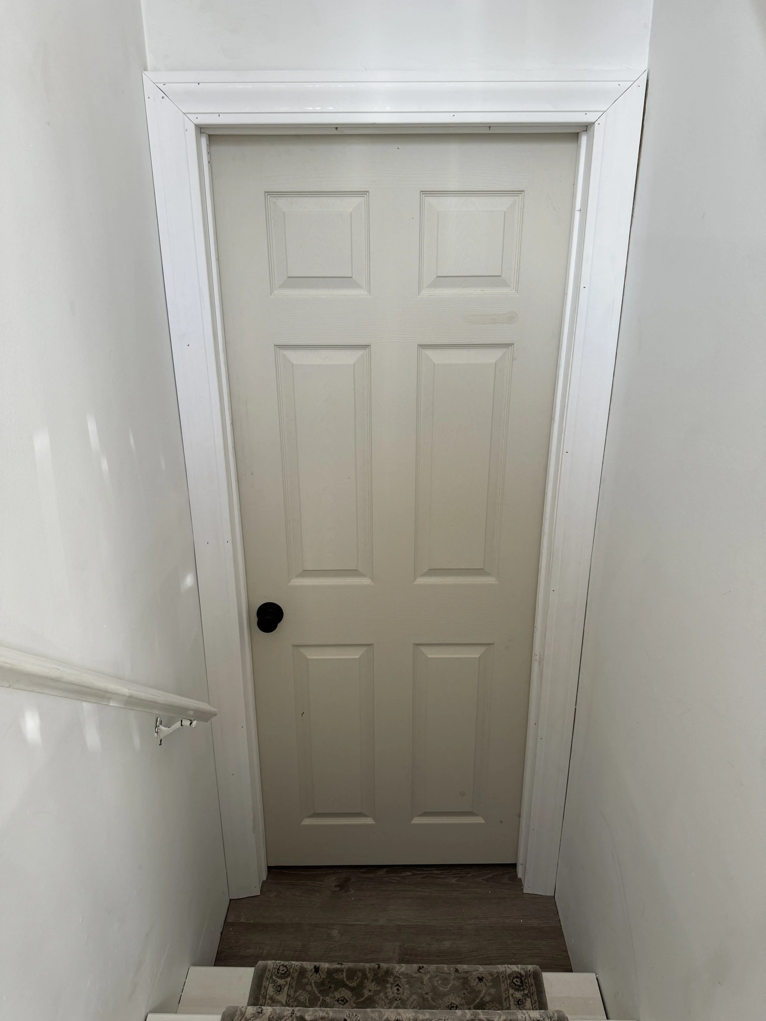 New basement door and trim 