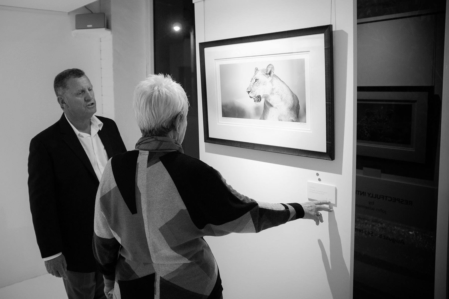 Visitors viewing a lioness photograph by John Wiseman