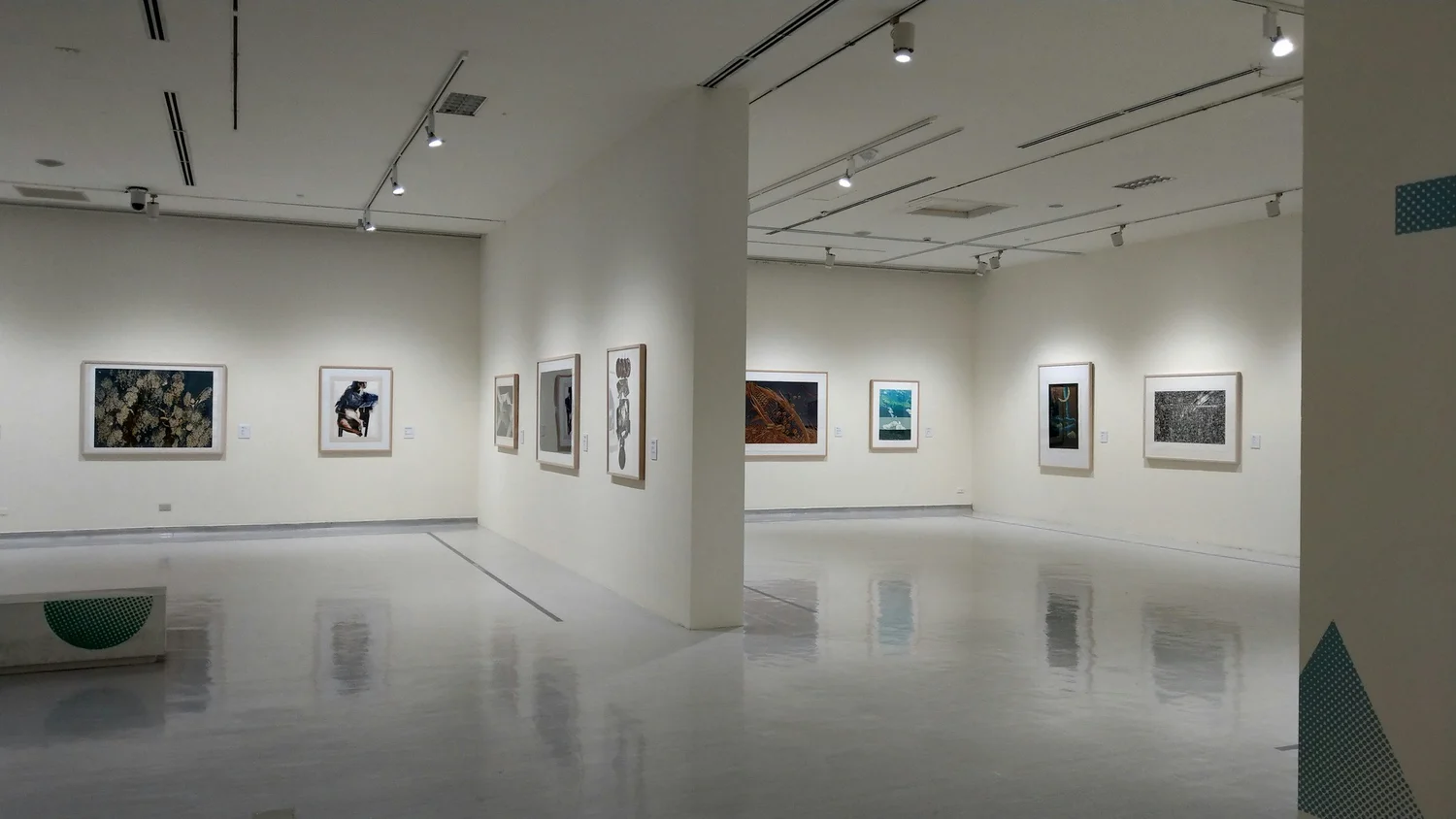 Contemporary photography displayed within a gallery interior