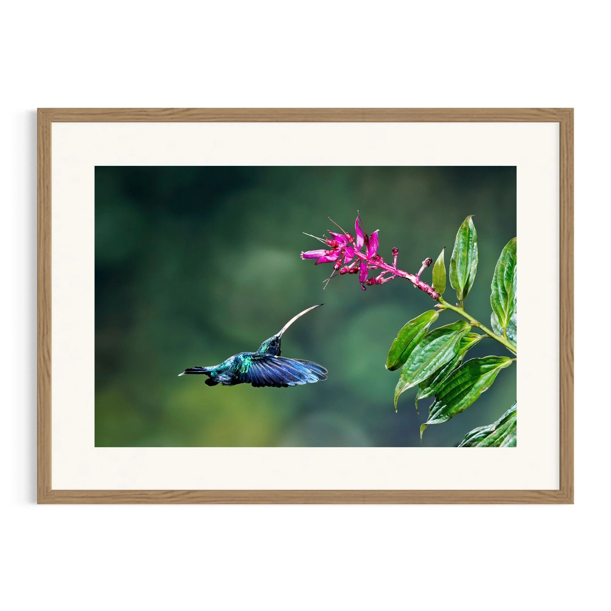Arc of Flight by John Wiseman shown in a raw oak frame, a signed limited-edition fine art photography print from IRID Gallery