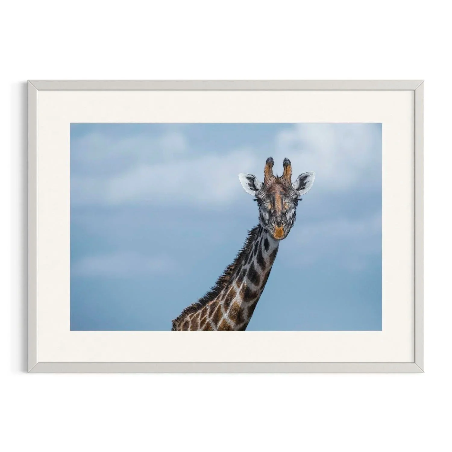 Browsing Heights by John Wiseman shown in a white frame, a signed limited-edition fine art photography print from IRID Gallery