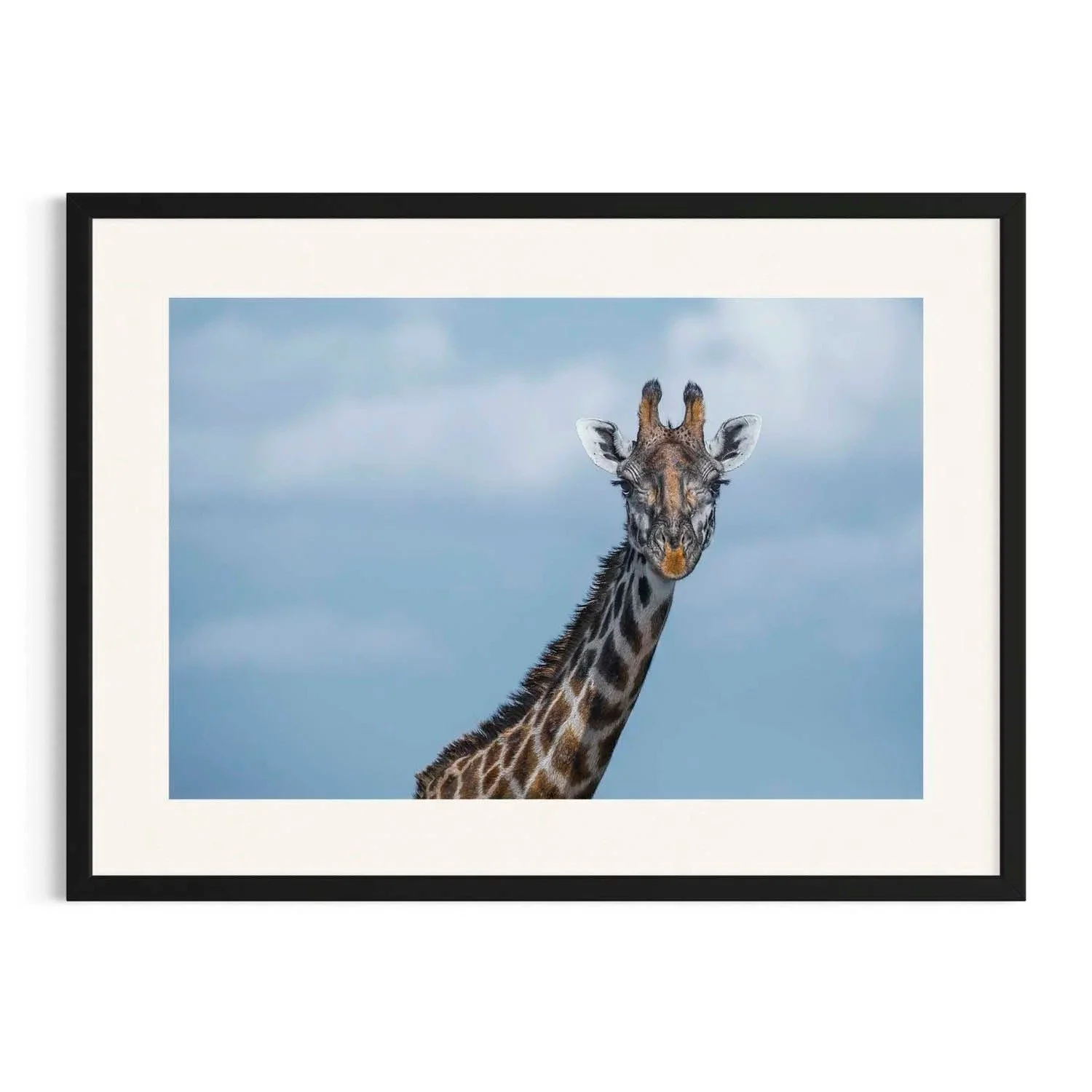 Browsing Heights by John Wiseman shown in a black frame, a signed limited-edition fine art photography print from IRID Gallery