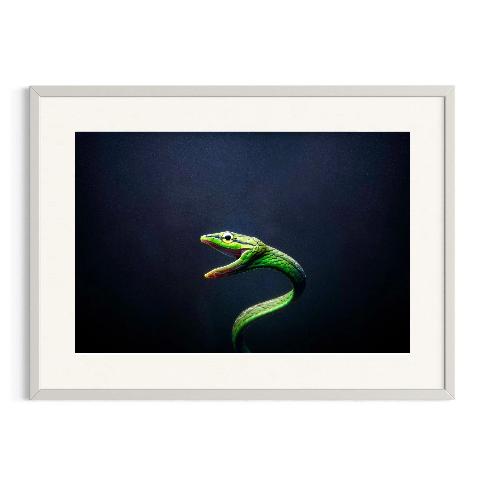 Coiled Silence by John Wiseman shown in a white frame, a signed limited-edition fine art photography print from IRID Gallery