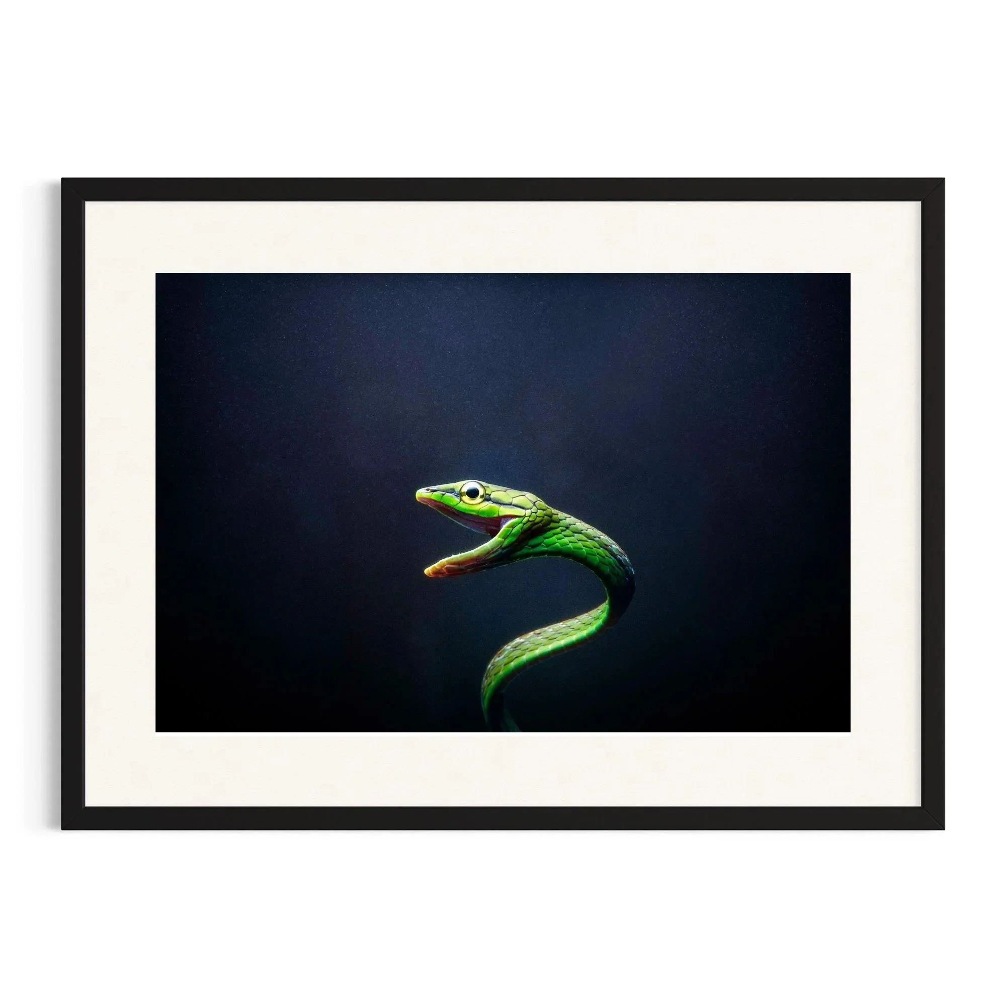 Coiled Silence by John Wiseman shown in a black frame, a signed limited-edition fine art photography print from IRID Gallery