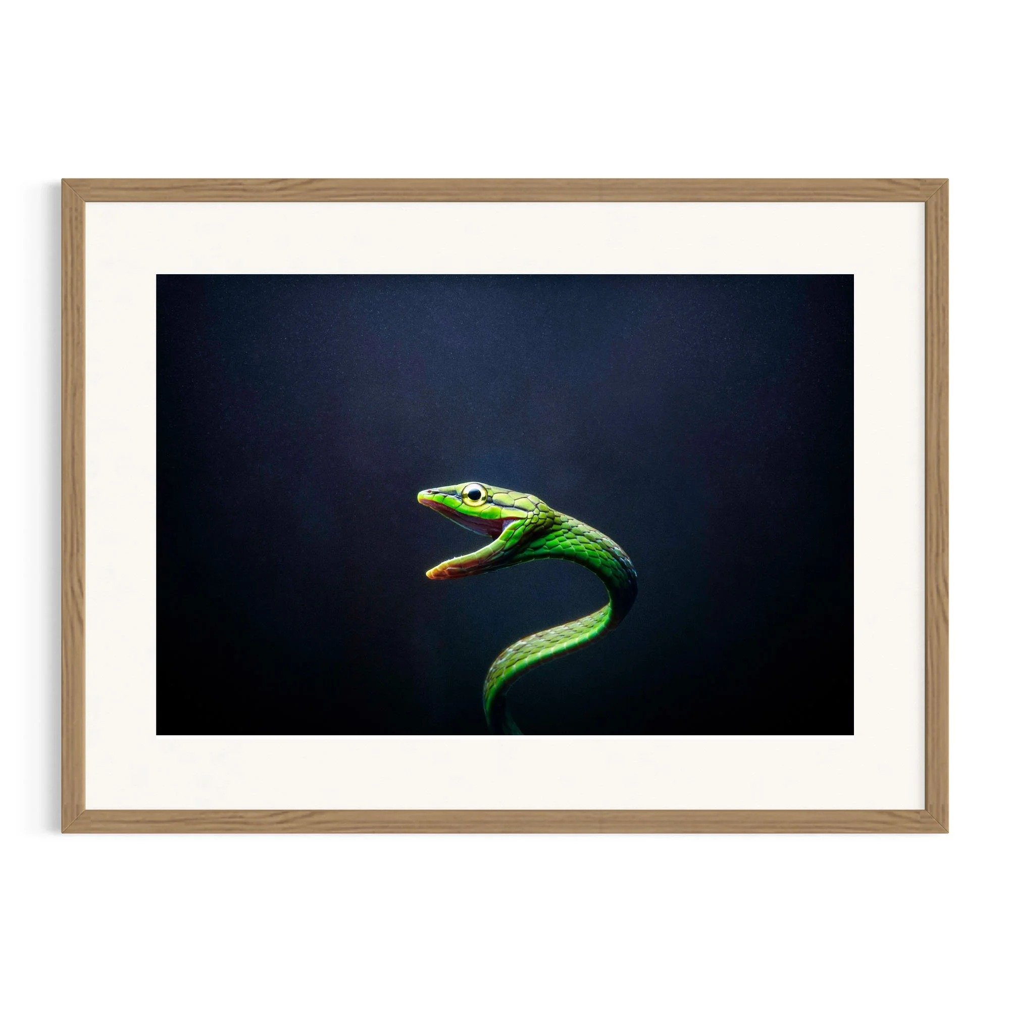 Coiled Silence by John Wiseman shown in a framed frame, a signed limited-edition fine art photography print from IRID Gallery