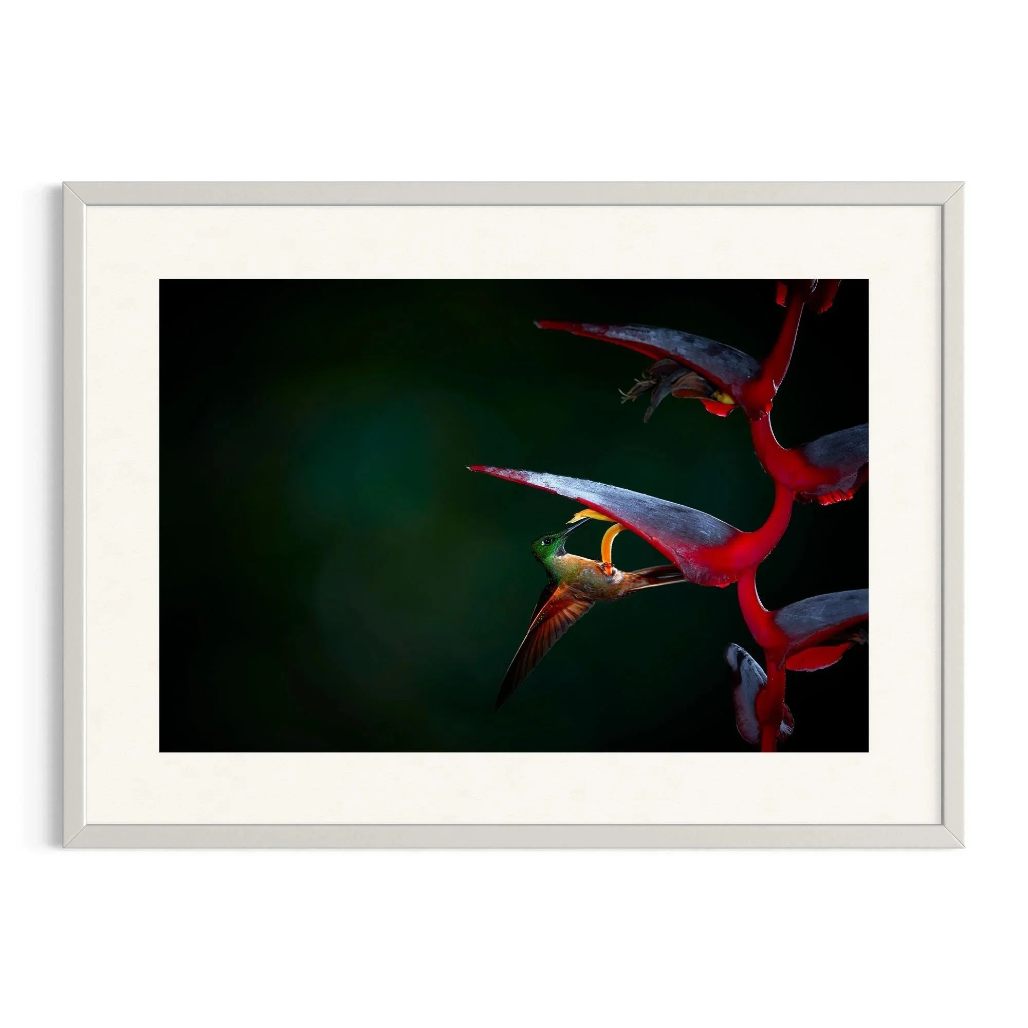 Crimson Shadows by John Wiseman shown in a white frame, a signed limited-edition fine art photography print from IRID Gallery