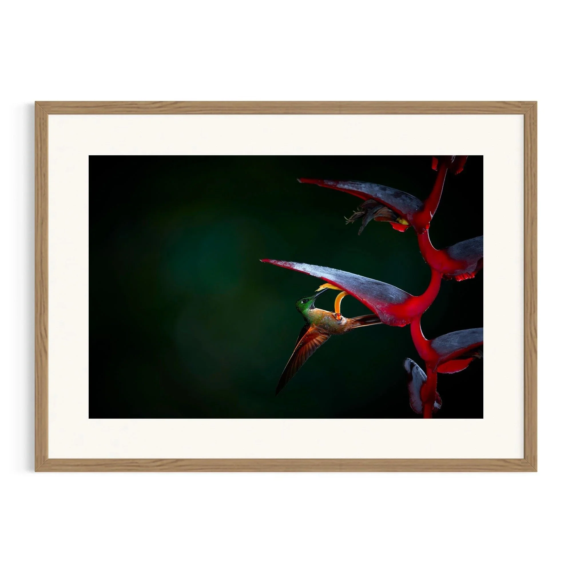 Crimson Shadows by John Wiseman shown in a raw oak frame, a signed limited-edition fine art photography print from IRID Gallery