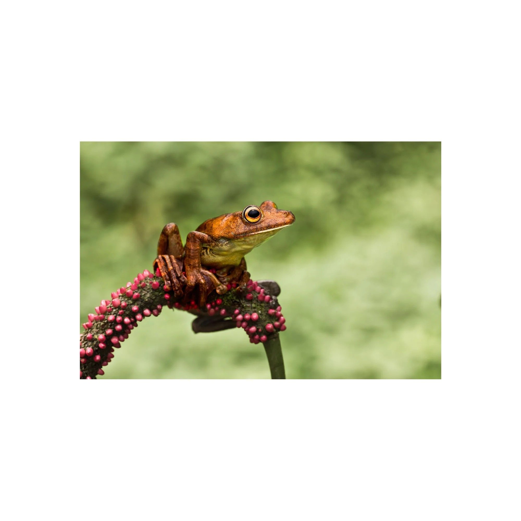 Delicately Balanced by John Wiseman, a signed limited-edition fine art photography print from IRID Gallery