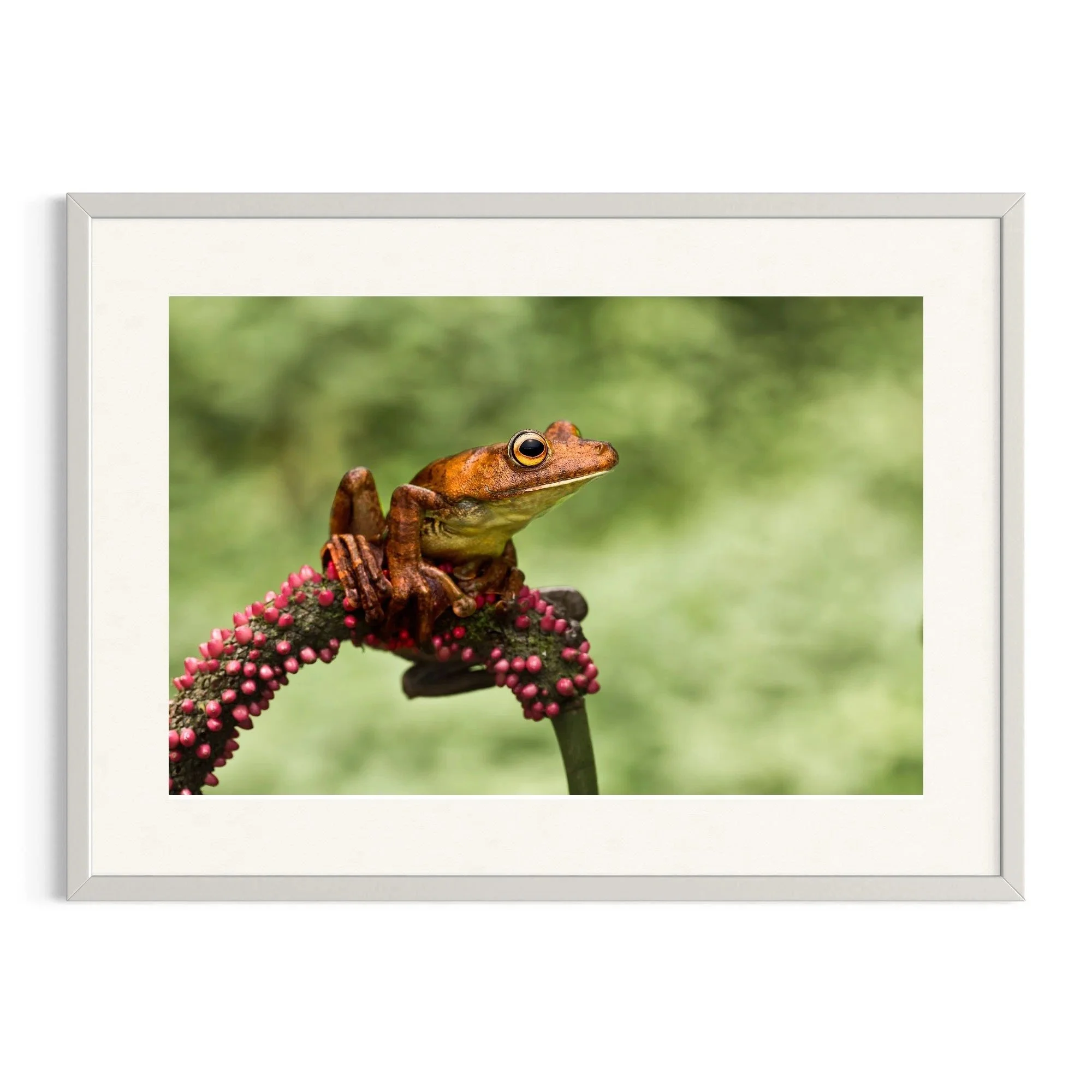Delicately Balanced by John Wiseman shown in a white frame, a signed limited-edition fine art photography print from IRID Gallery