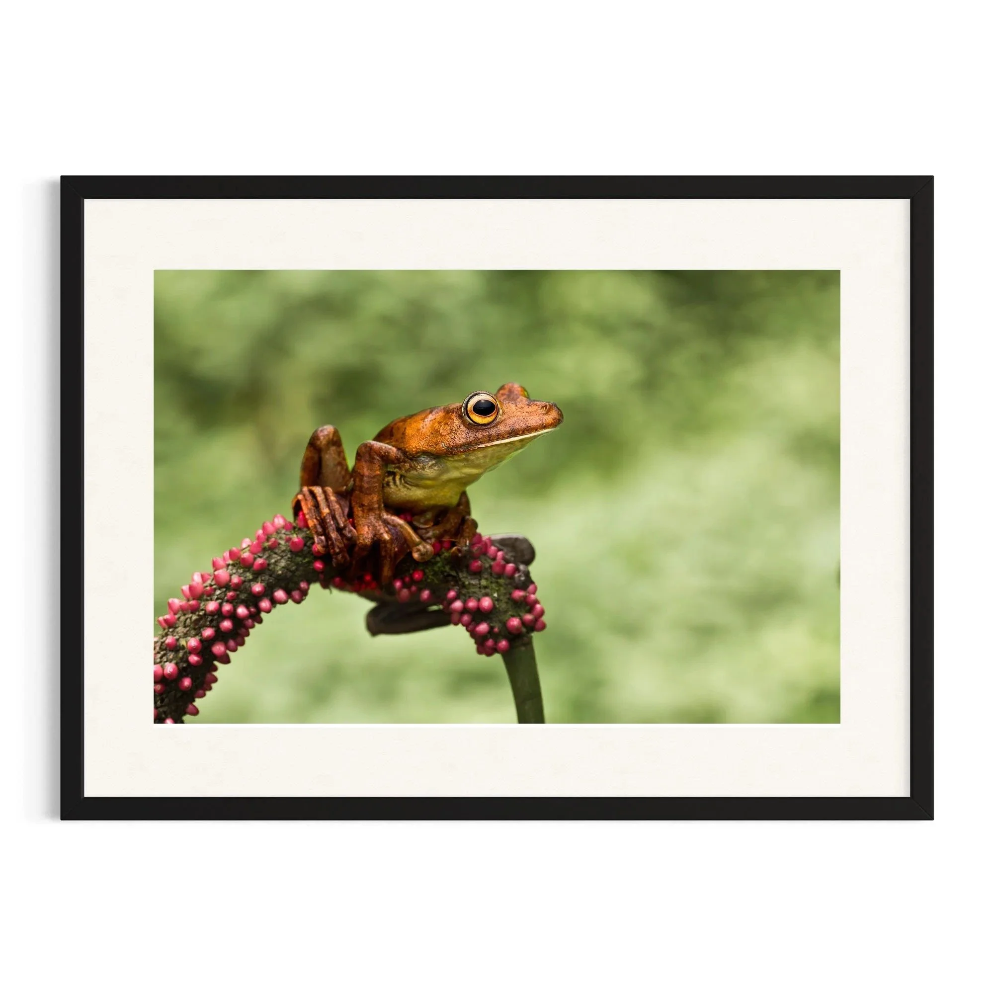 Delicately Balanced by John Wiseman shown in a black frame, a signed limited-edition fine art photography print from IRID Gallery