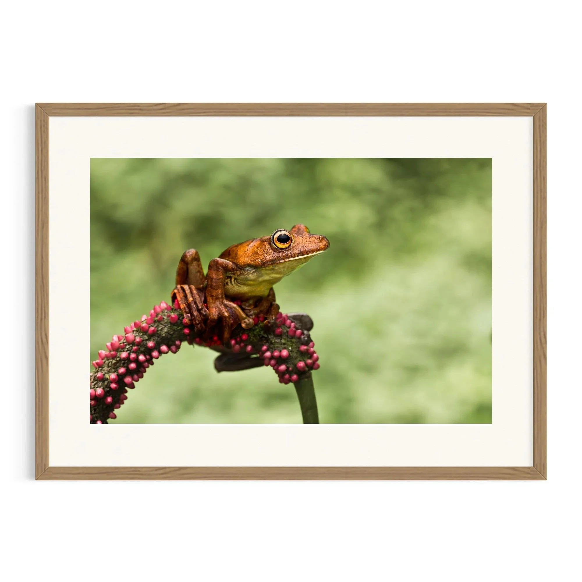 Delicately Balanced by John Wiseman shown in a framed frame, a signed limited-edition fine art photography print from IRID Gallery