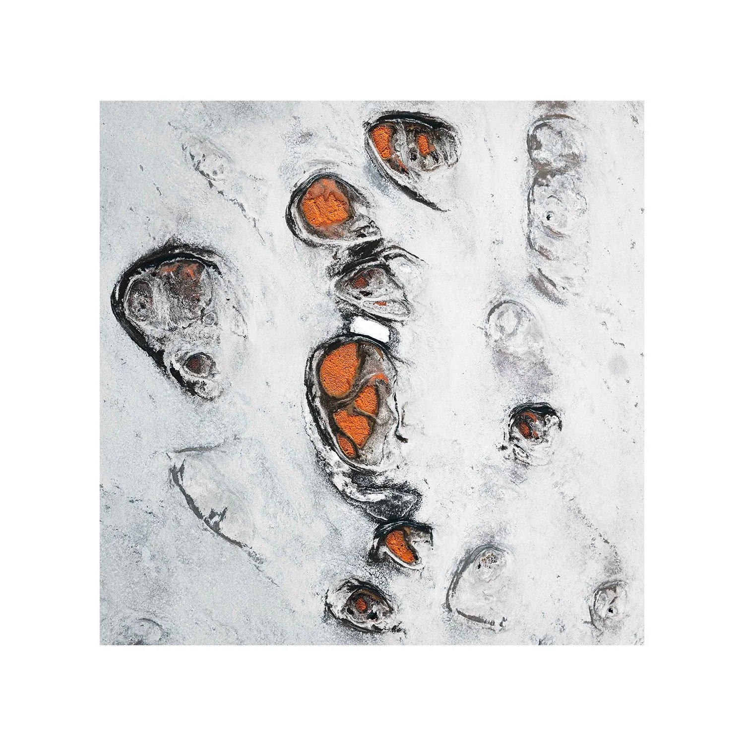 Desert Dance by Dani Watson, a signed limited-edition fine art photography print from IRID Gallery