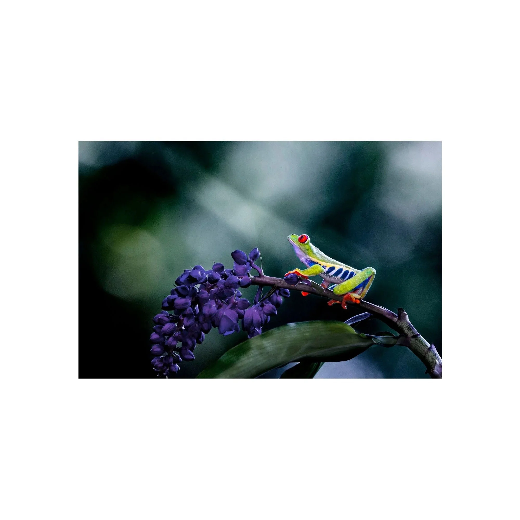 Divine Light by John Wiseman, a signed limited-edition fine art photography print from IRID Gallery