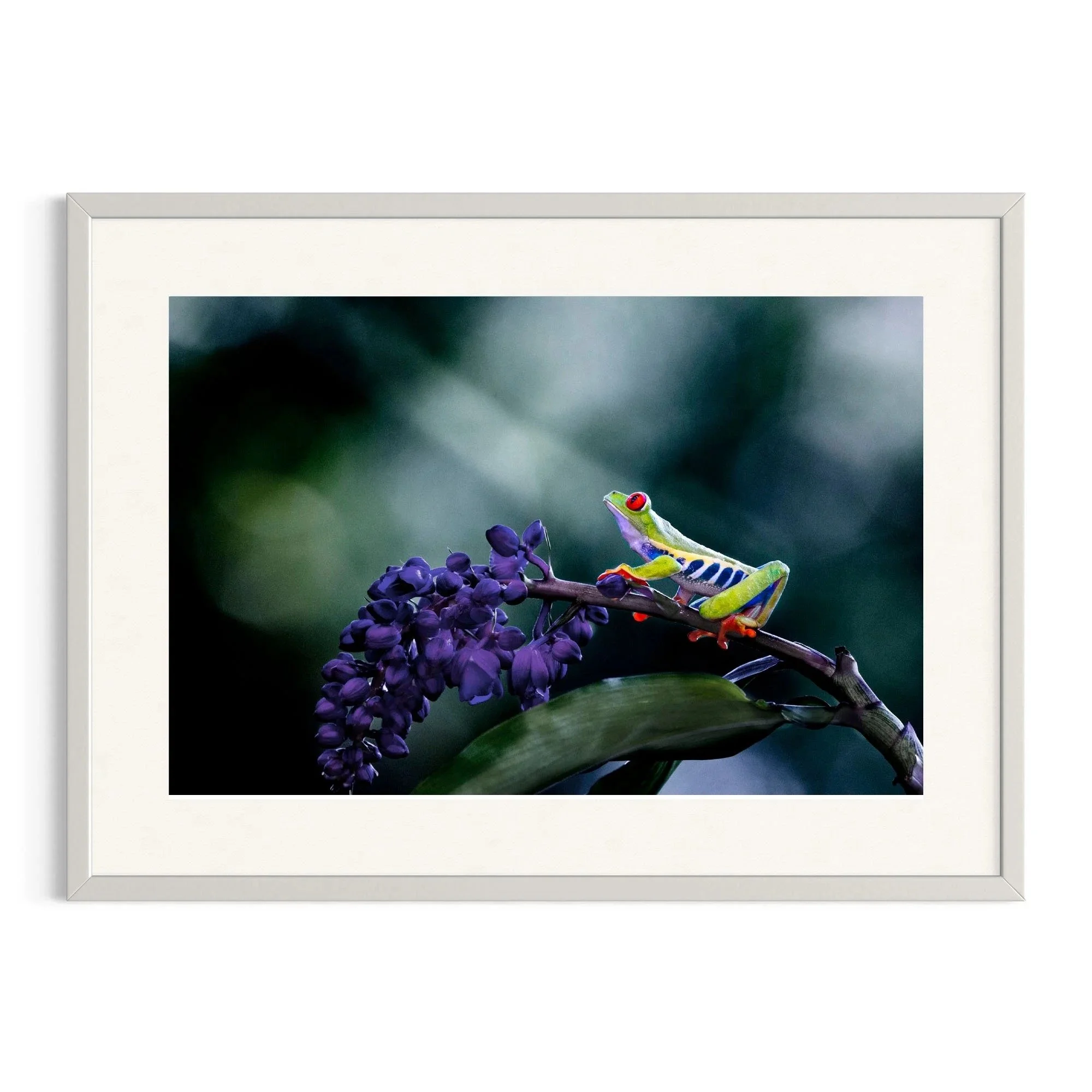Divine Light by John Wiseman shown in a white frame, a signed limited-edition fine art photography print from IRID Gallery
