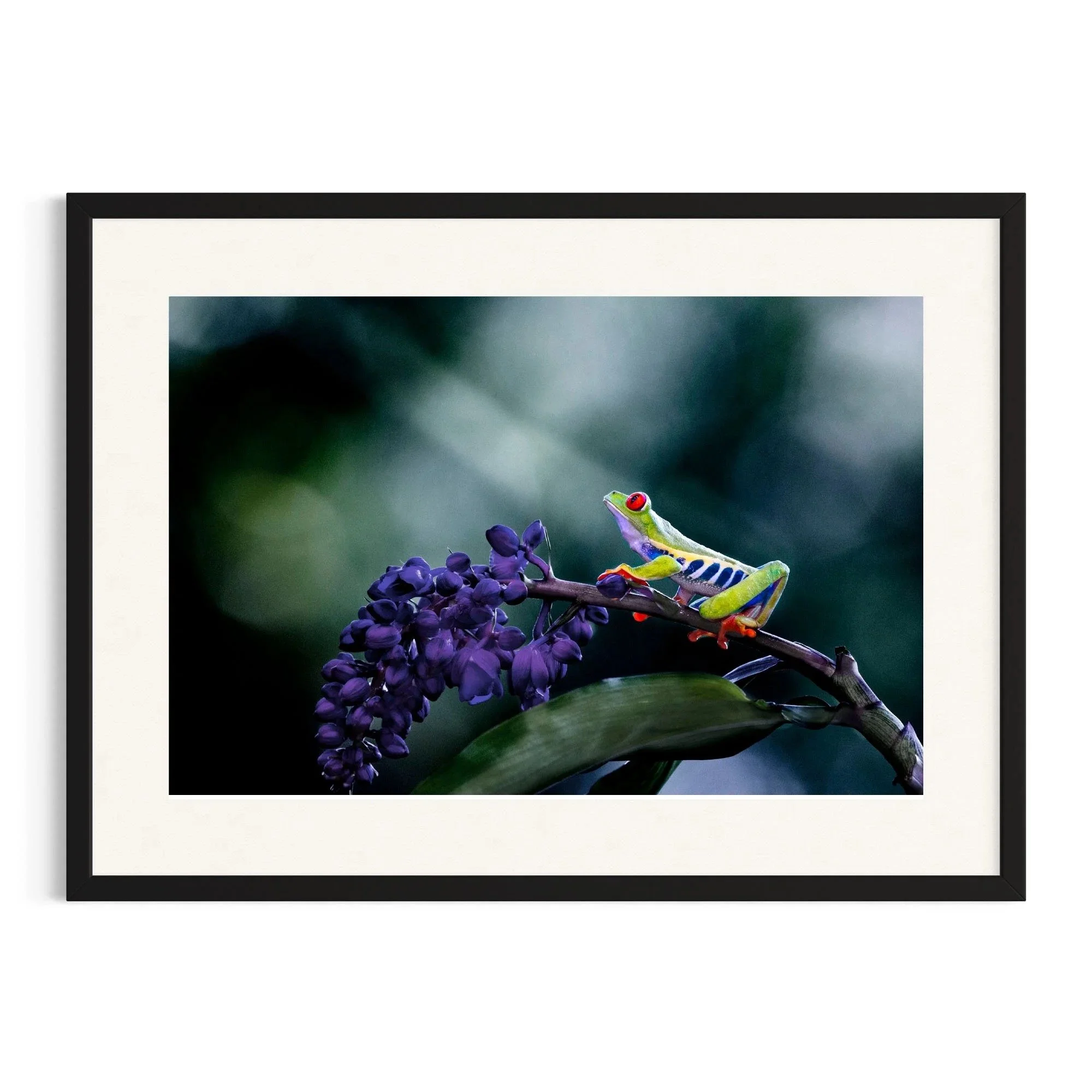 Divine Light by John Wiseman shown in a black frame, a signed limited-edition fine art photography print from IRID Gallery