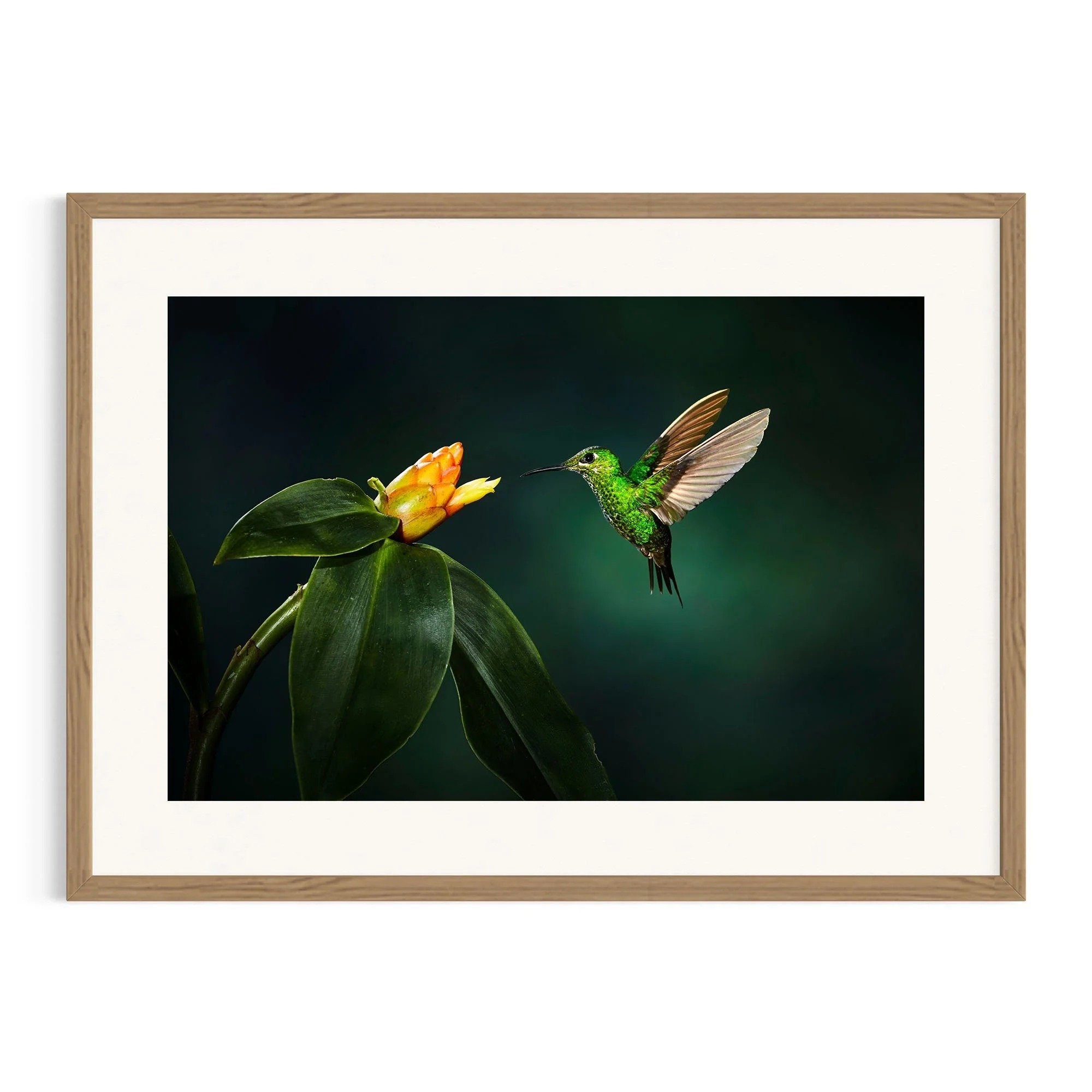 Emerald Encounter by John Wiseman shown in a raw oak frame, a signed limited-edition fine art photography print from IRID Gallery