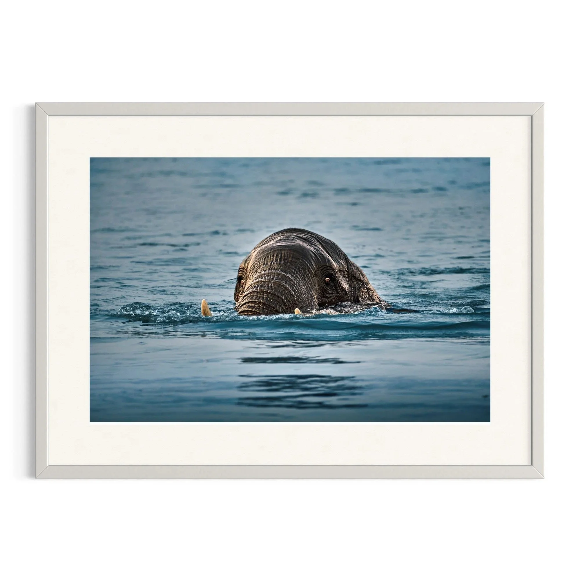 Emerging Giant by John Wiseman shown in a white frame, a signed limited-edition fine art photography print from IRID Gallery