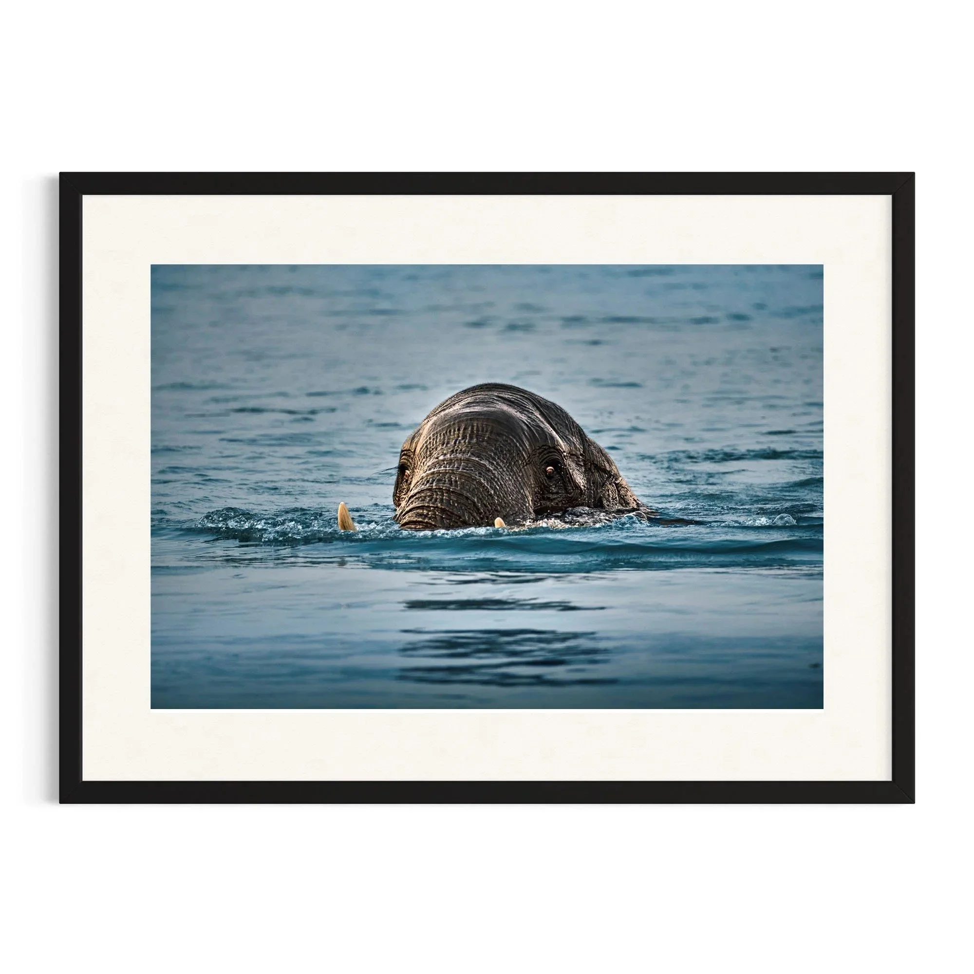 Emerging Giant by John Wiseman shown in a black frame, a signed limited-edition fine art photography print from IRID Gallery