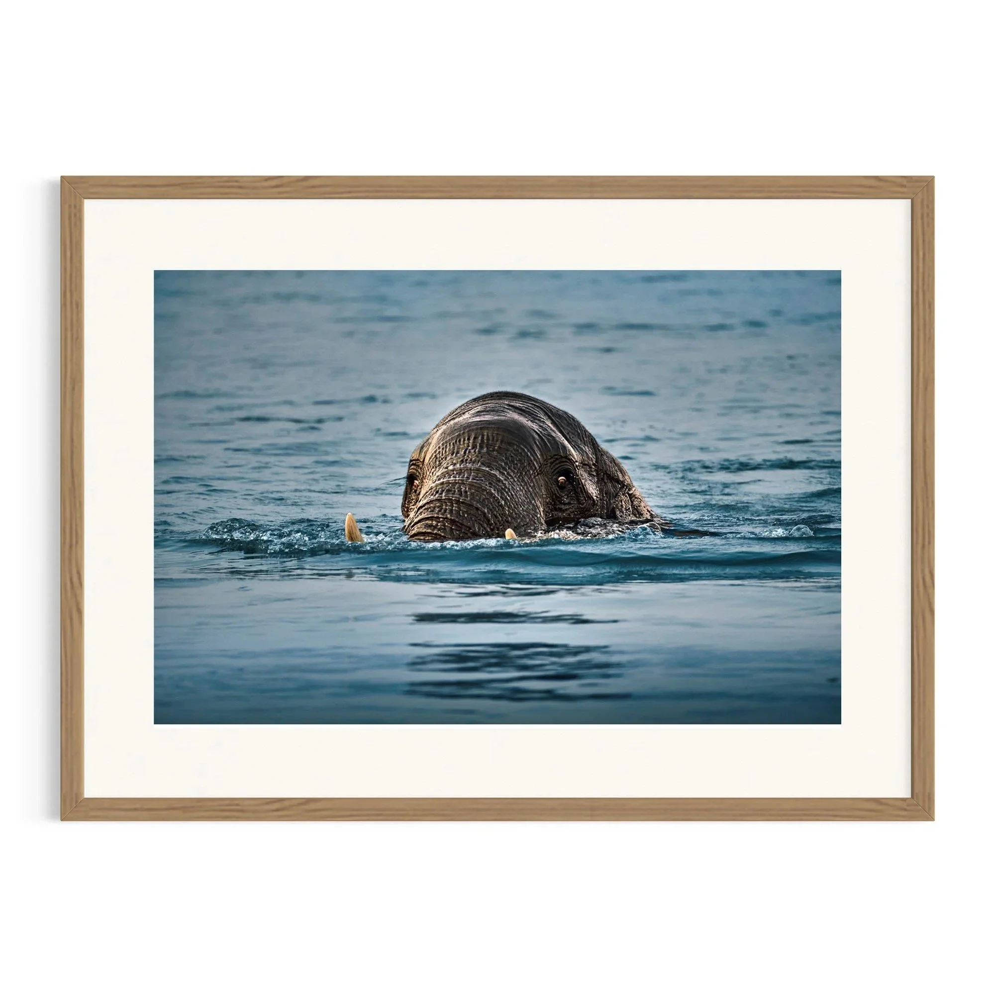 Emerging Giant by John Wiseman shown in a framed frame, a signed limited-edition fine art photography print from IRID Gallery
