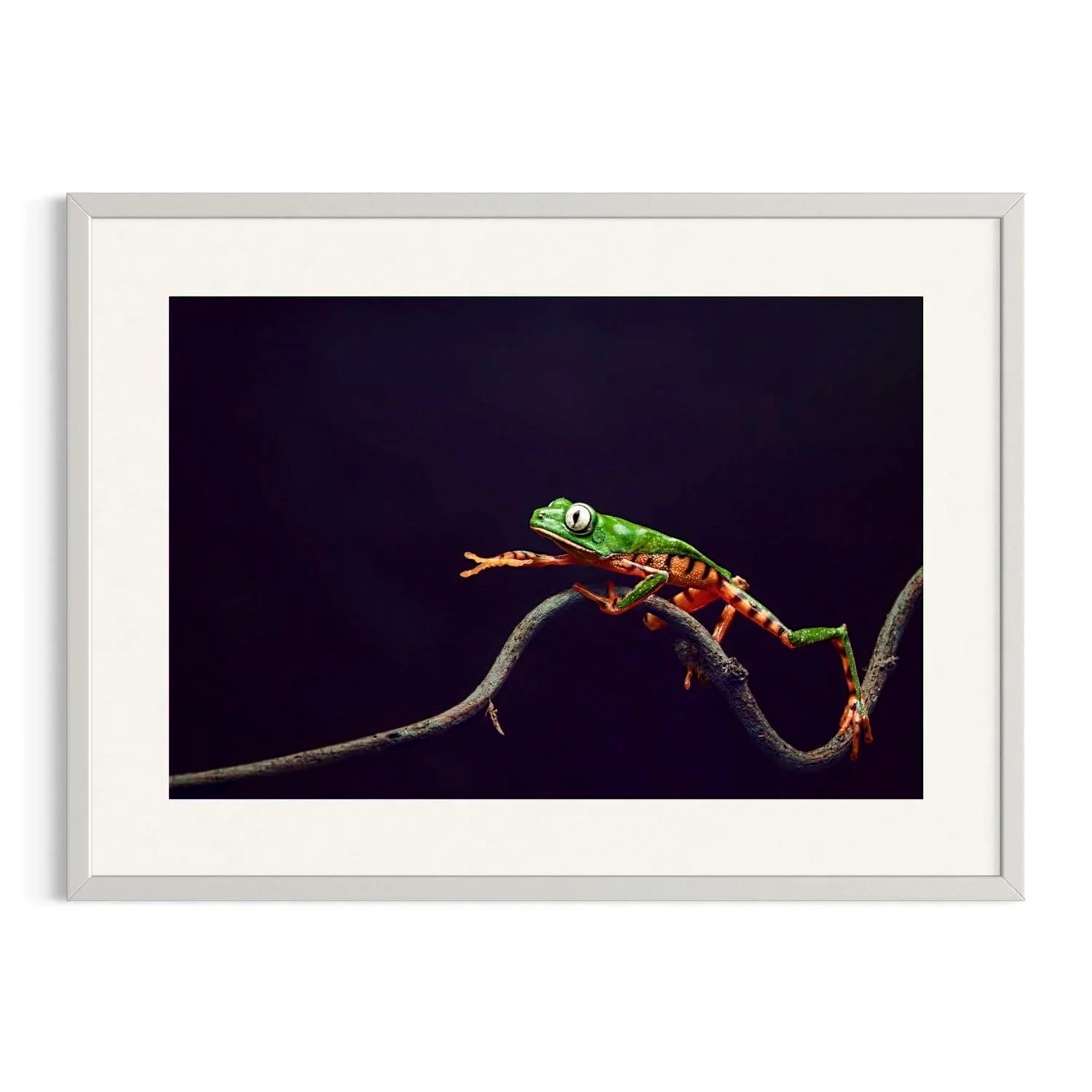 Eyes on Dusk by John Wiseman shown in a white frame, a signed limited-edition fine art photography print from IRID Gallery