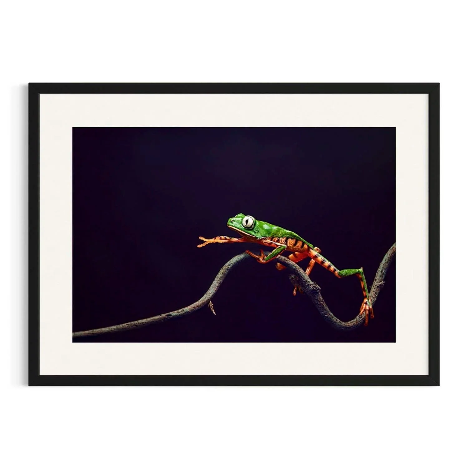 Eyes on Dusk by John Wiseman shown in a black frame, a signed limited-edition fine art photography print from IRID Gallery