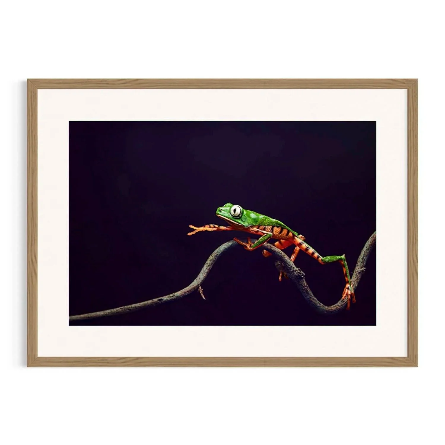 Eyes on Dusk by John Wiseman shown in a Tasmanian oak frame, a signed limited-edition fine art photography print from IRID Gallery