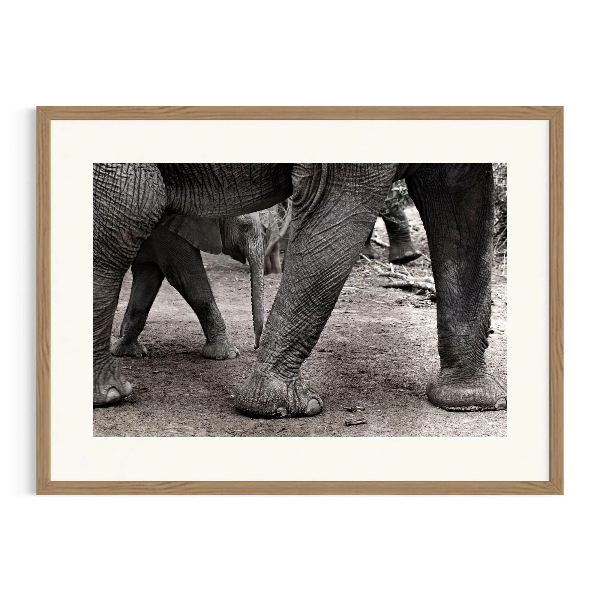 Gentle Footsteps by John Wiseman shown in a framed frame, a signed limited-edition fine art photography print from IRID Gallery