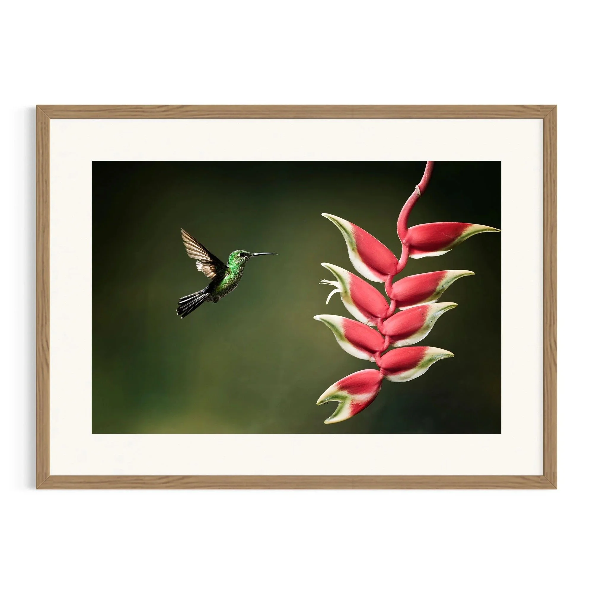 Harmony in Bloom by John Wiseman shown in a raw oak frame, a signed limited-edition fine art photography print from IRID Gallery