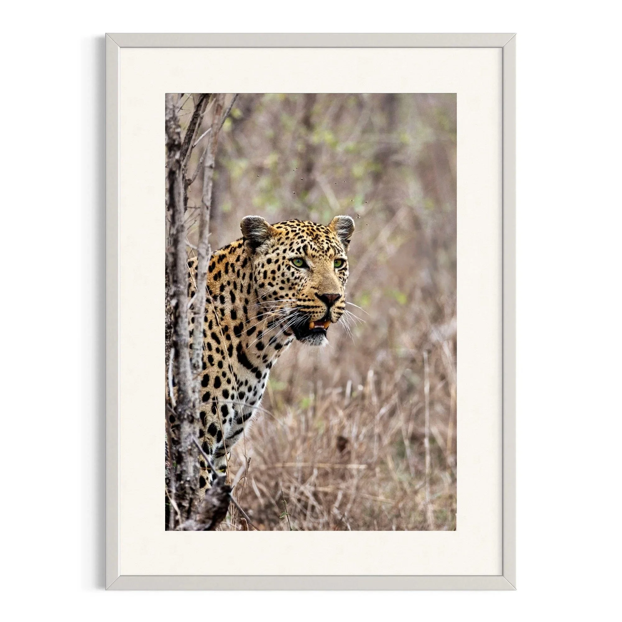 Hidden in Plain Sight by John Wiseman shown in a white frame, a signed limited-edition fine art photography print from IRID Gallery