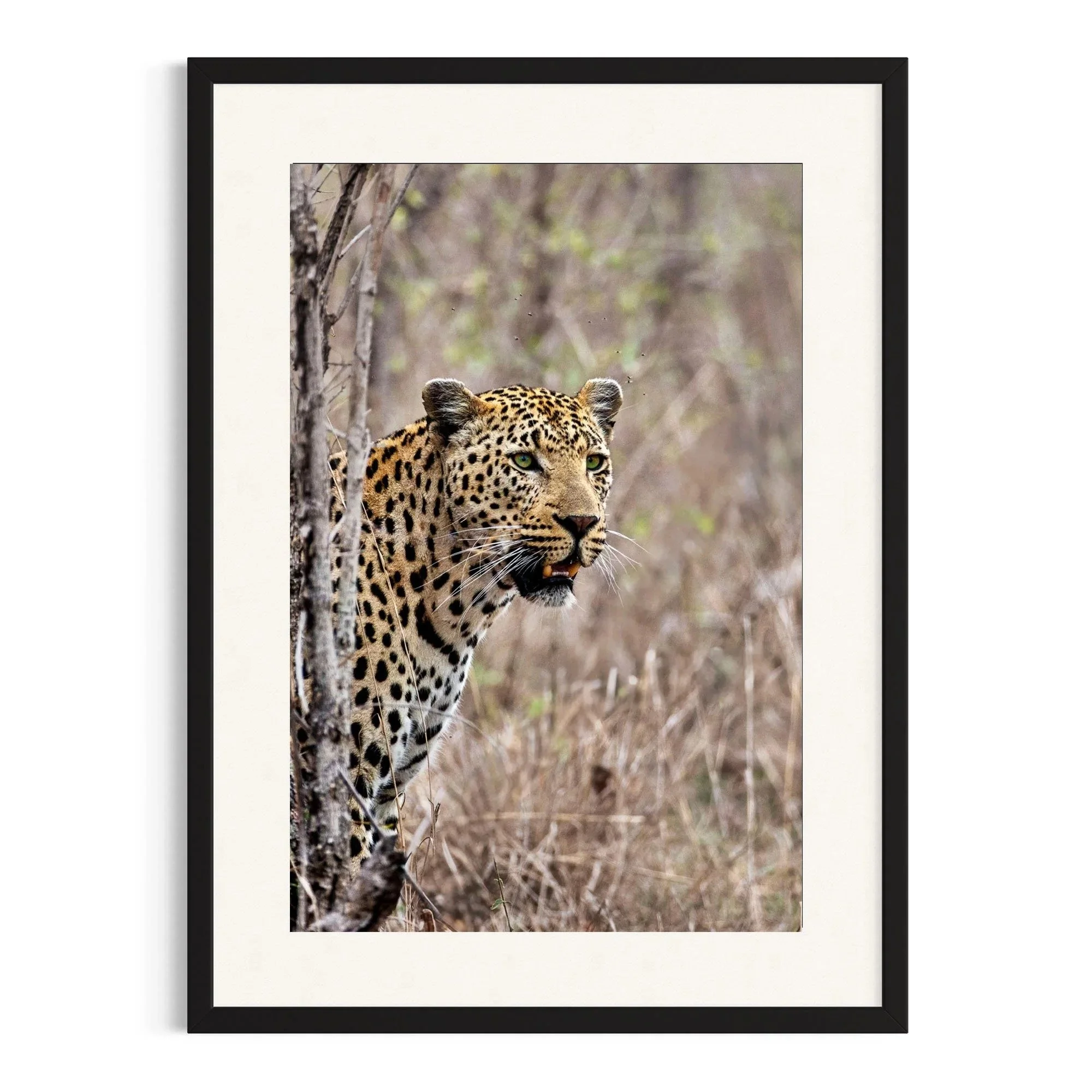 Hidden in Plain Sight by John Wiseman shown in a black frame, a signed limited-edition fine art photography print from IRID Gallery