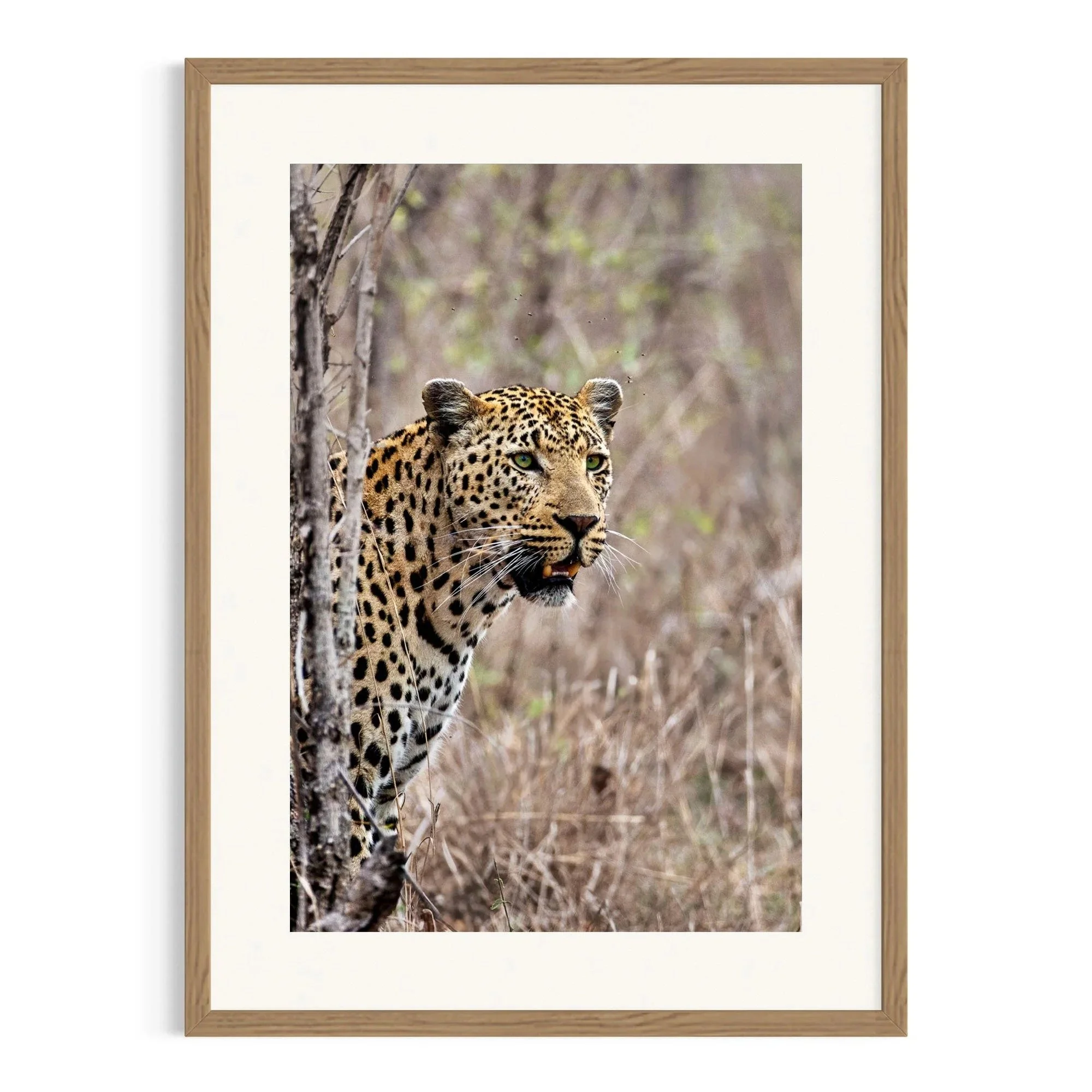 Hidden in Plain Sight by John Wiseman shown in a raw oak frame, a signed limited-edition fine art photography print from IRID Gallery