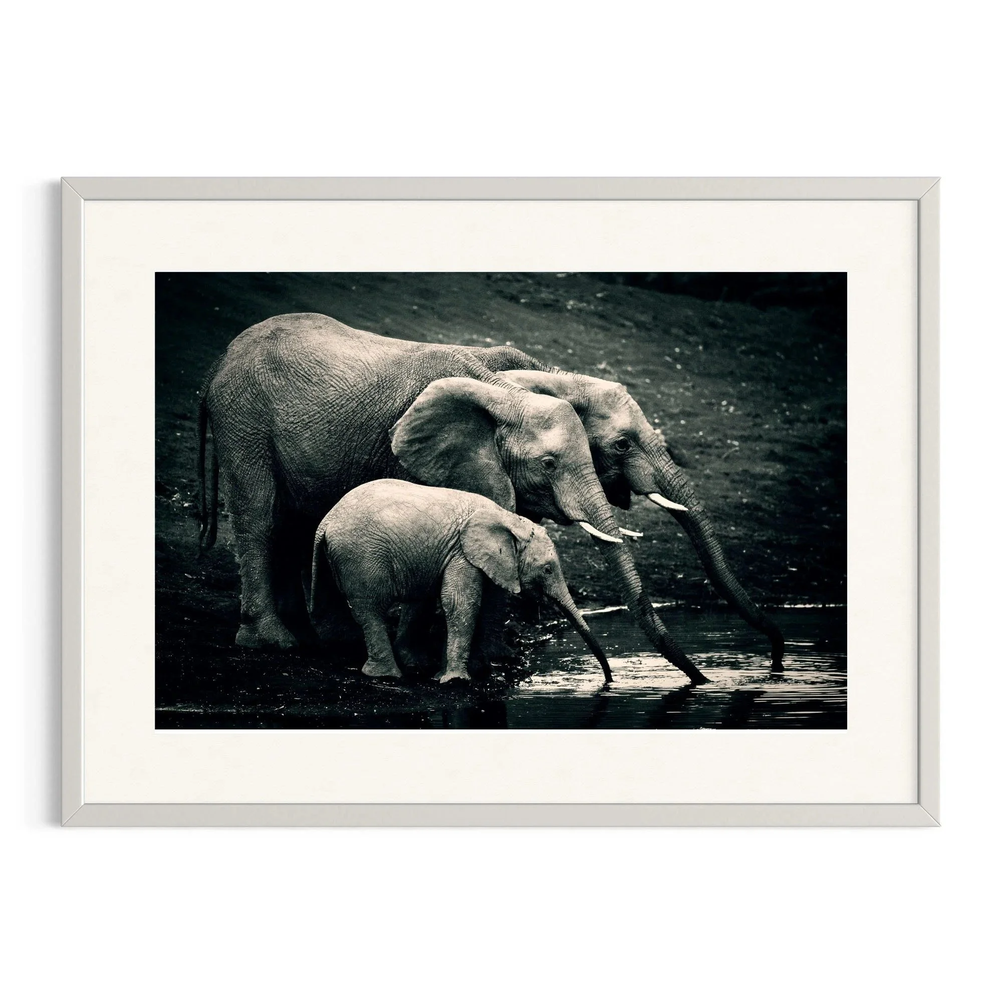 In Unison by John Wiseman shown in a white frame, a signed limited-edition fine art photography print from IRID Gallery