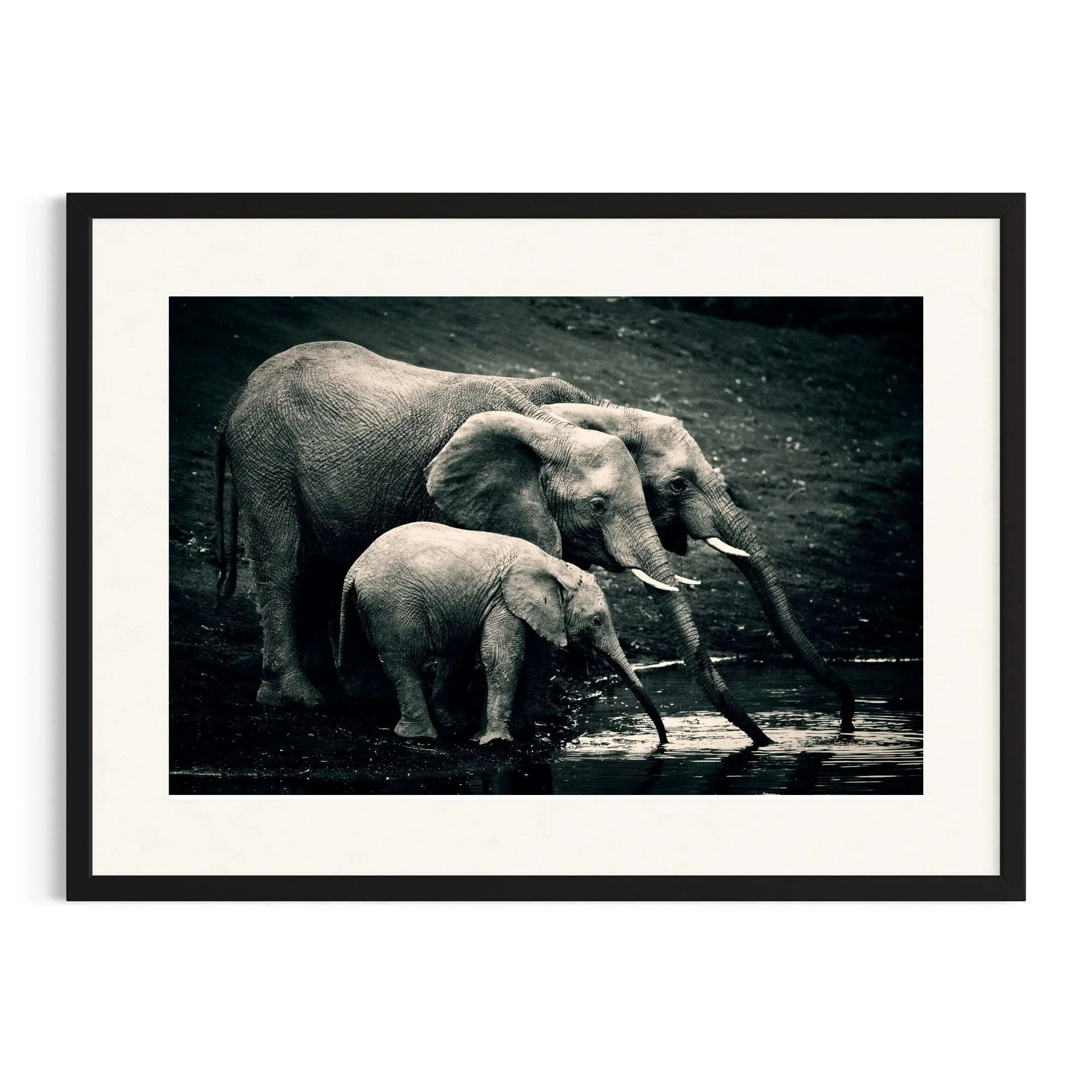 In Unison by John Wiseman shown in a black frame, a signed limited-edition fine art photography print from IRID Gallery