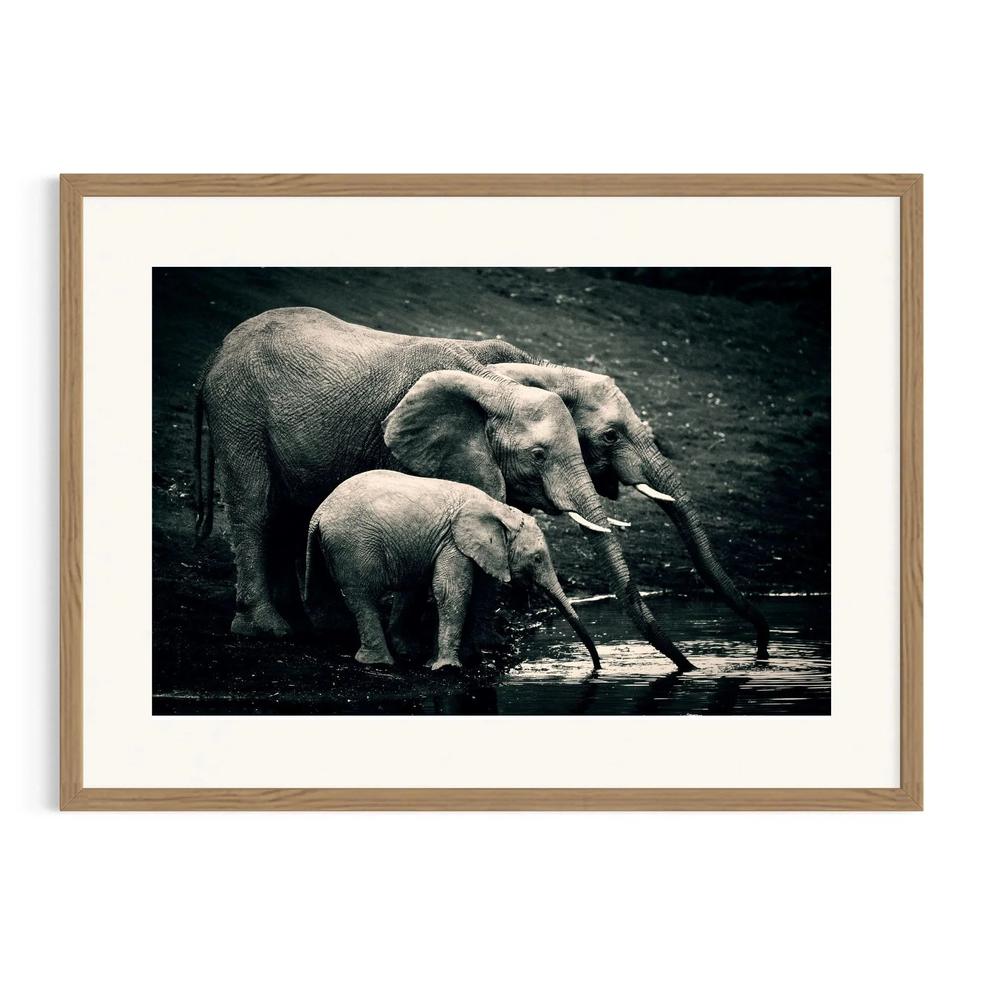 In Unison by John Wiseman shown in a framed frame, a signed limited-edition fine art photography print from IRID Gallery