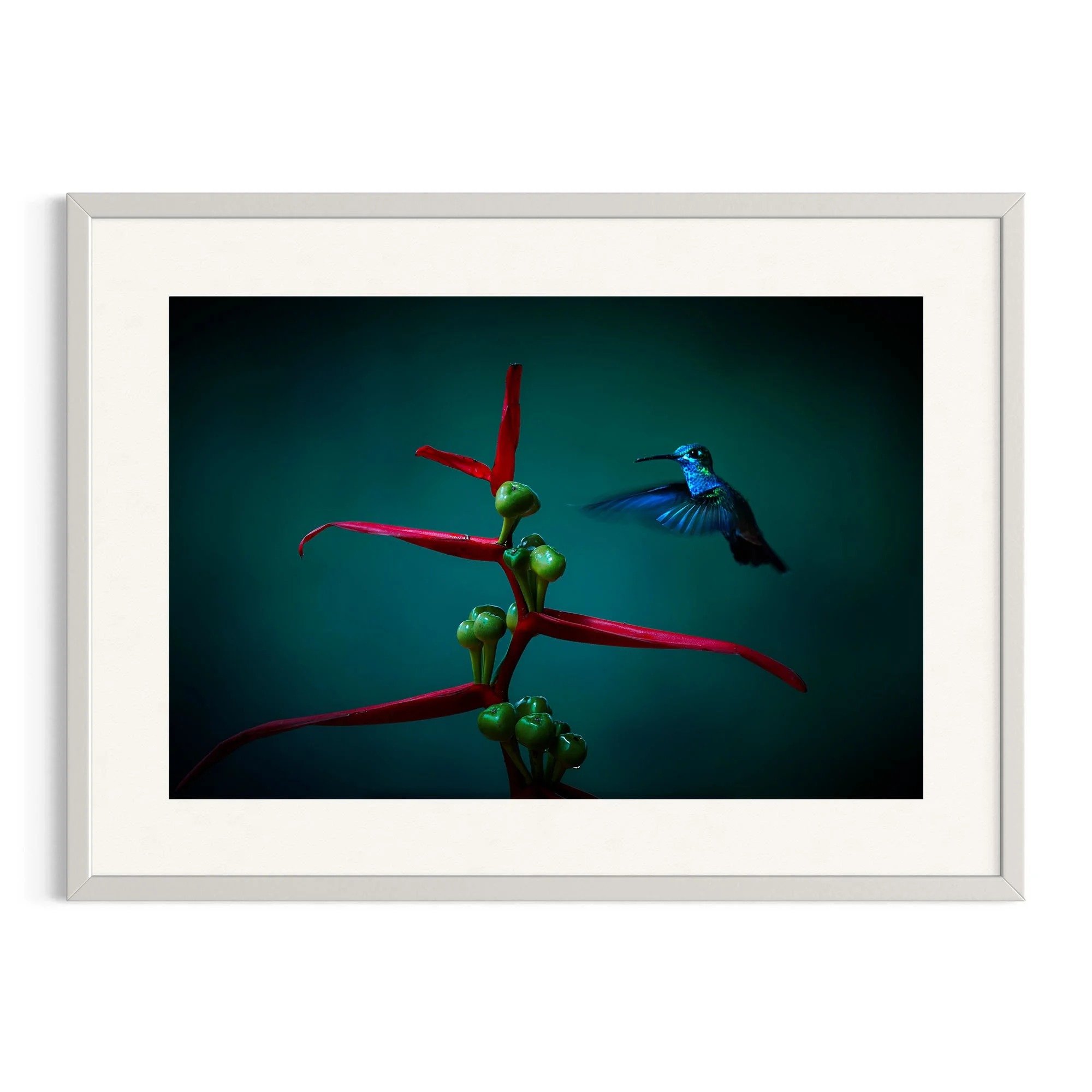 Midnight Flight by John Wiseman shown in a white frame, a signed limited-edition fine art photography print from IRID Gallery