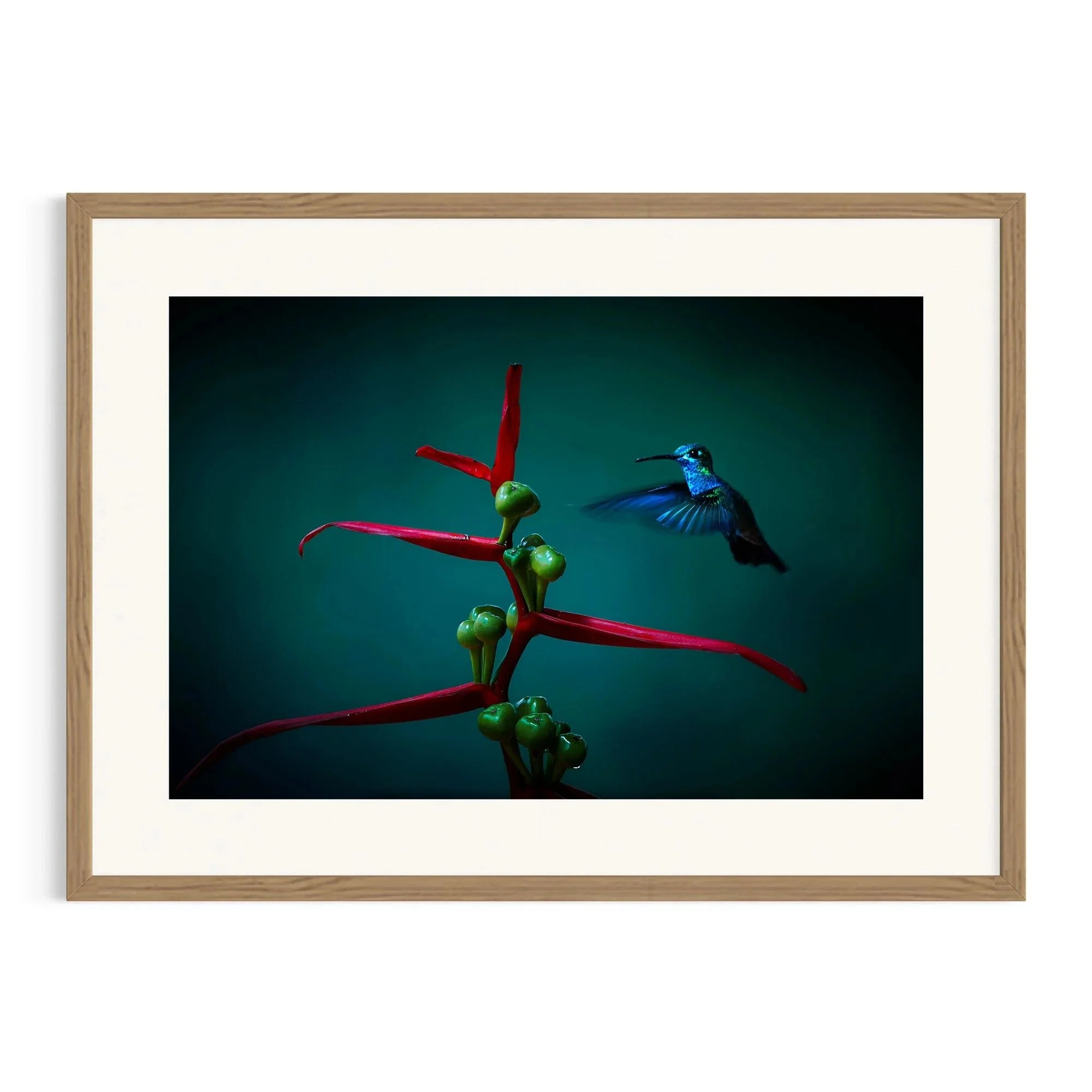 Midnight Flight by John Wiseman shown in a raw oak frame, a signed limited-edition fine art photography print from IRID Gallery