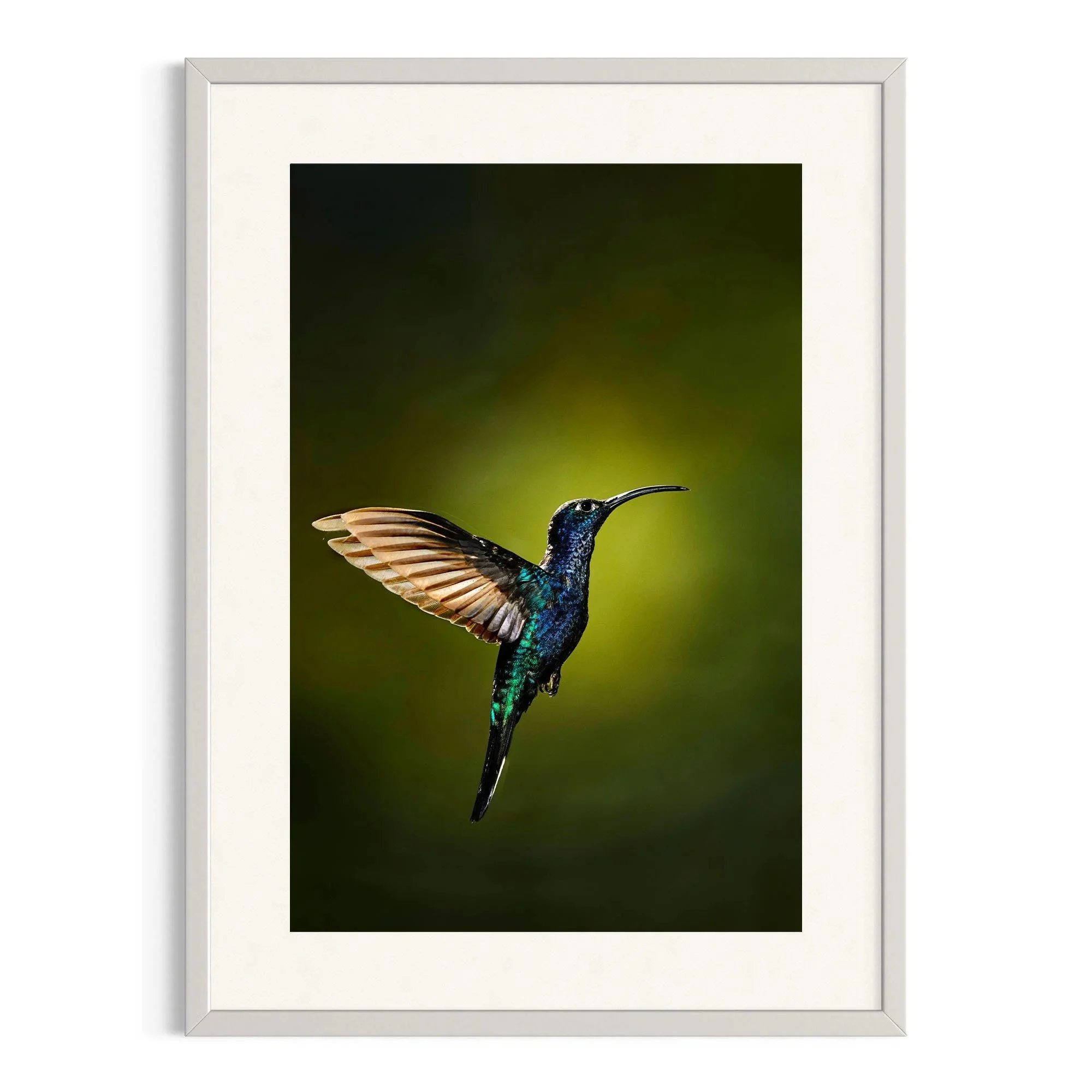 Midnight Majesty by John Wiseman shown in a white frame, a signed limited-edition fine art photography print from IRID Gallery