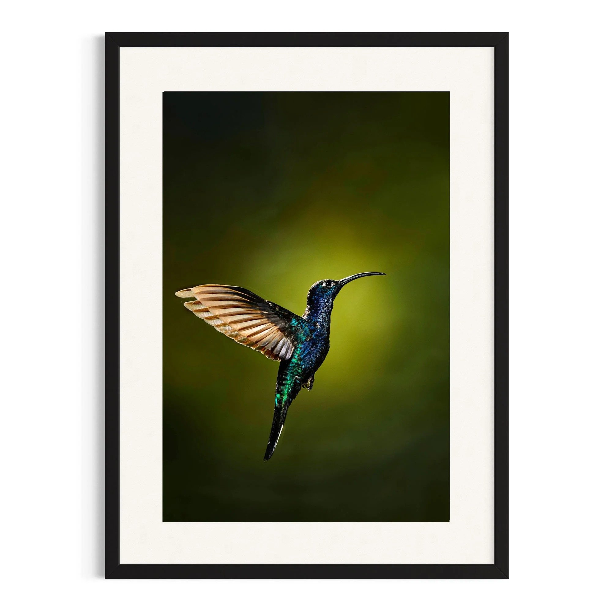 Midnight Majesty by John Wiseman shown in a black frame, a signed limited-edition fine art photography print from IRID Gallery