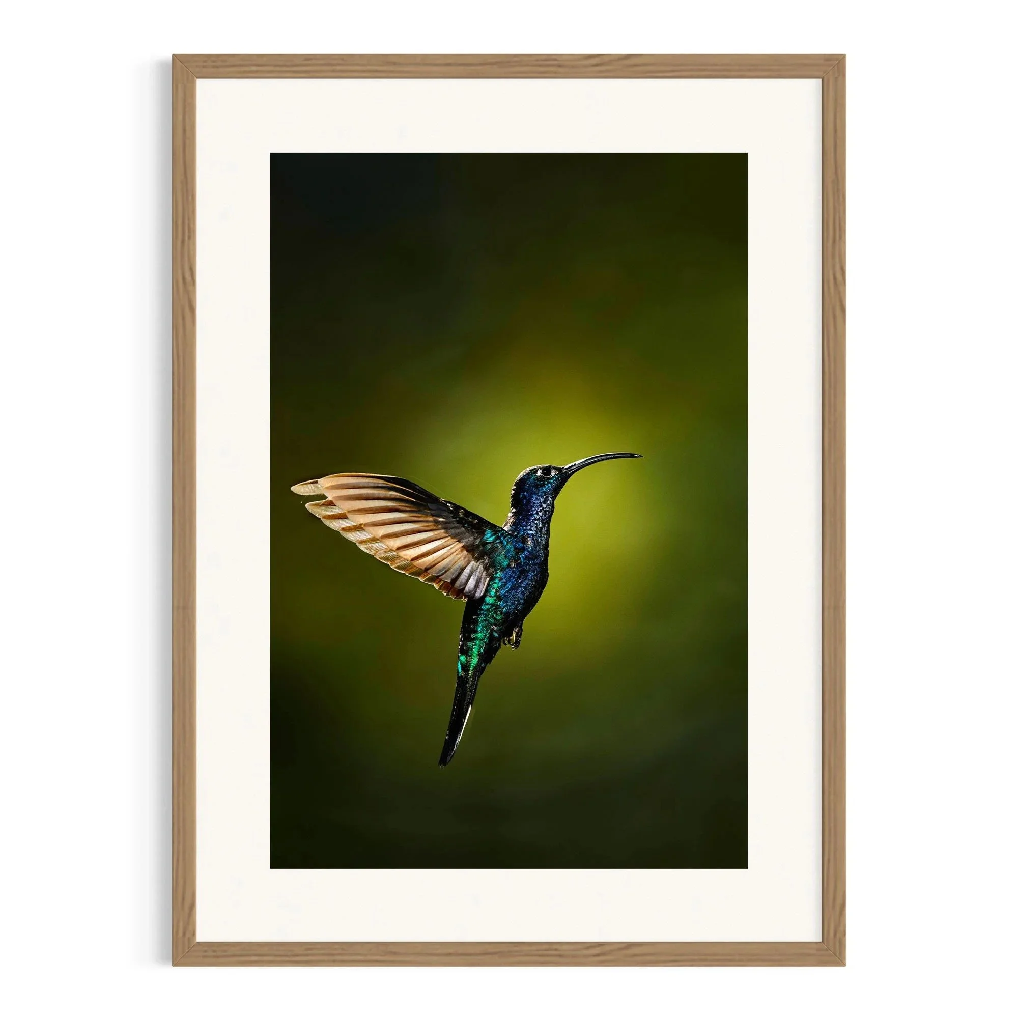 Midnight Majesty by John Wiseman shown in a raw oak frame, a signed limited-edition fine art photography print from IRID Gallery